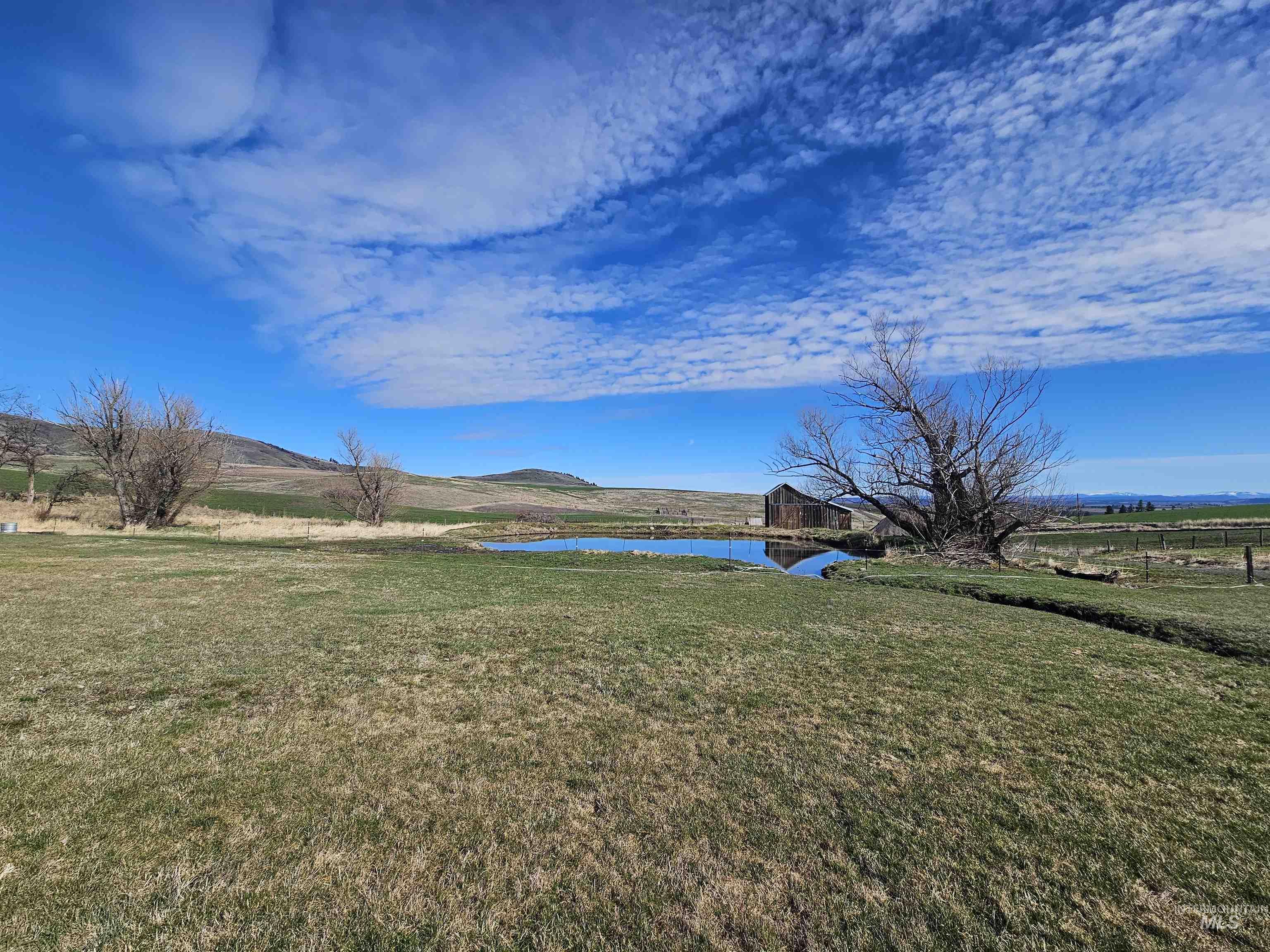168 Winona Property Photo 34