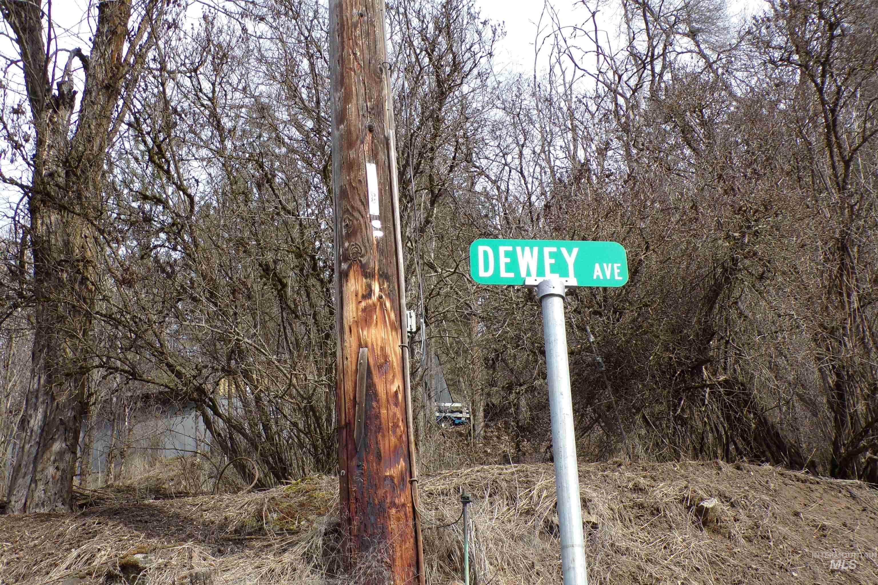 421 Dewey Ave Property Photo 3