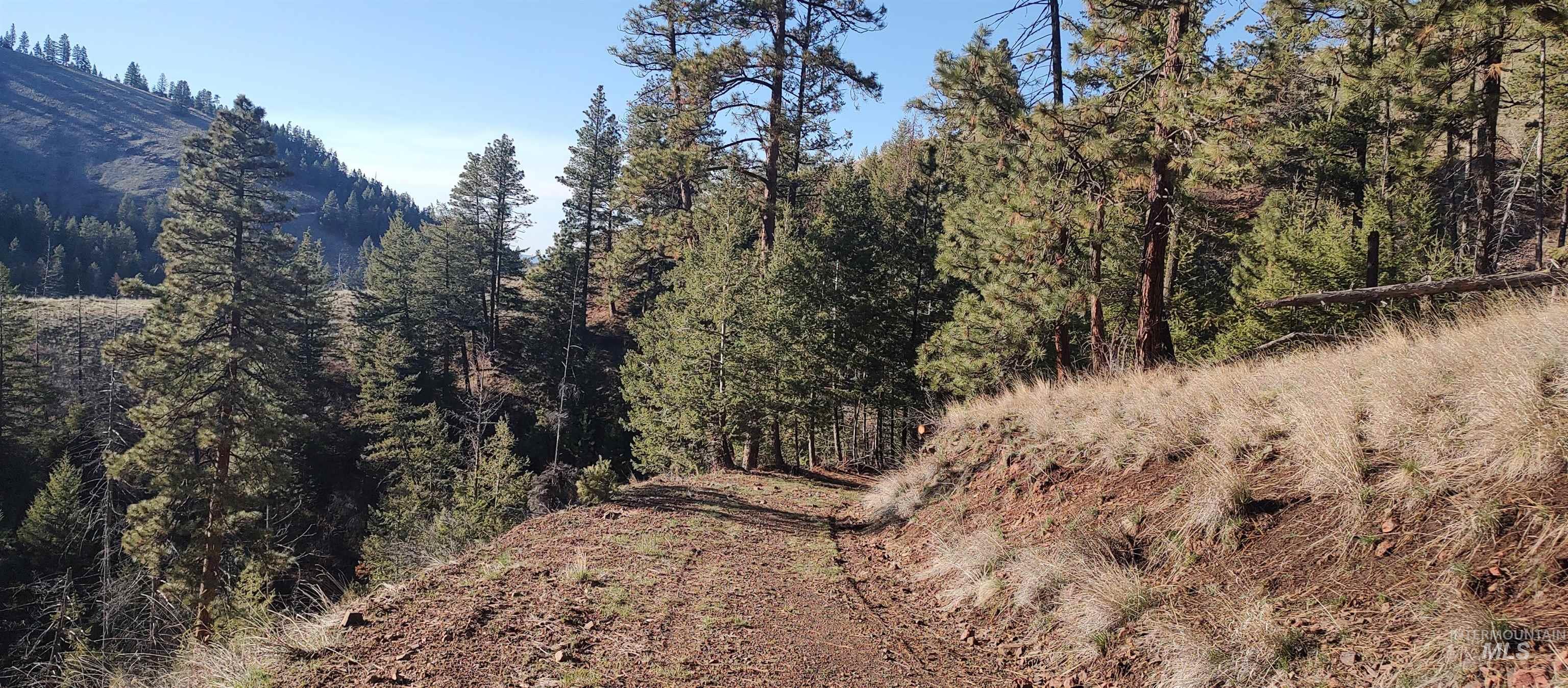 Tbd Bald Eagle Dr. Property Photo