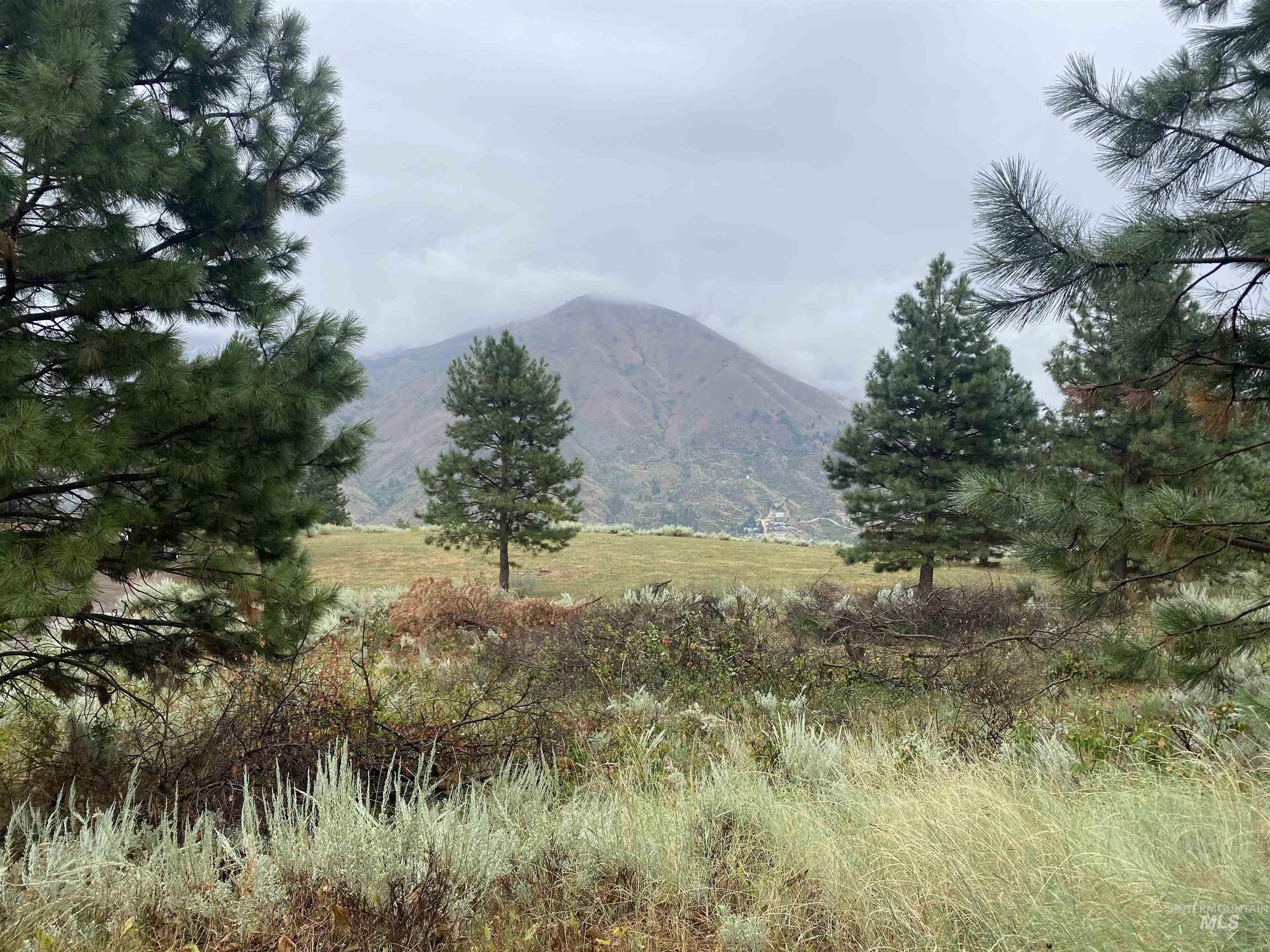 Wilderness Ranc Real Estate Listings Main Image