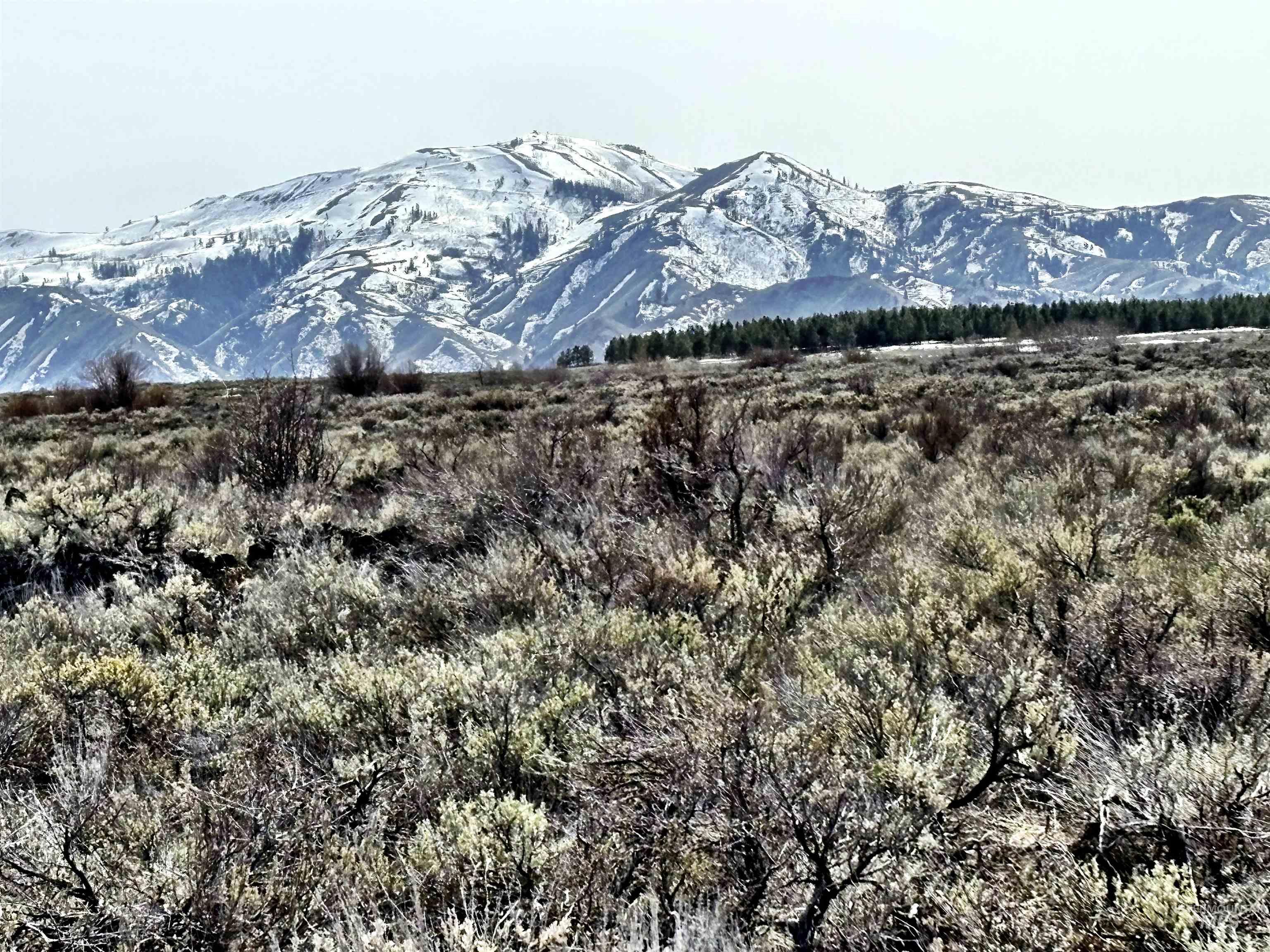 Tbd Long Gulch Rd Property Photo