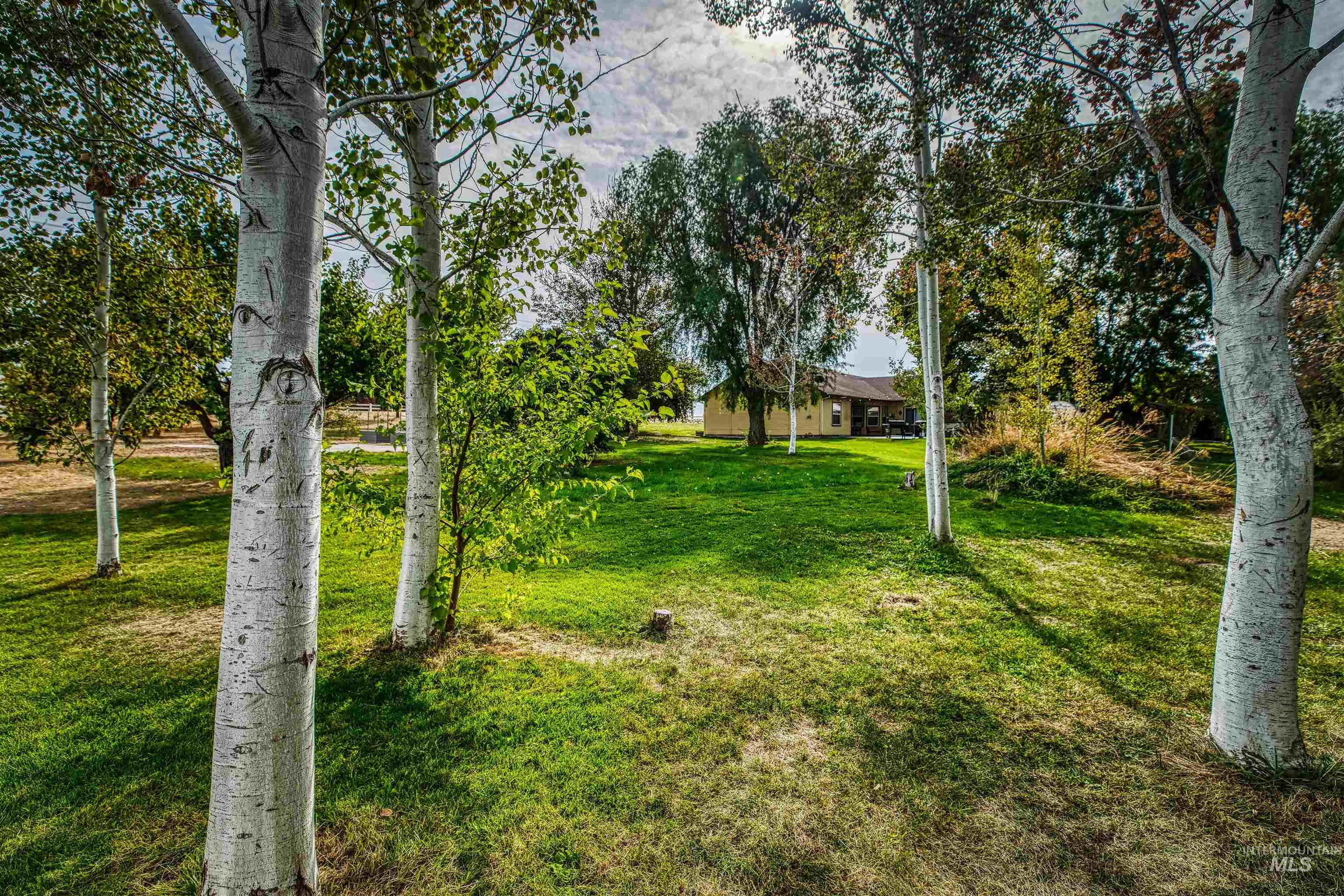 24847 Harvey Road Property Photo 8