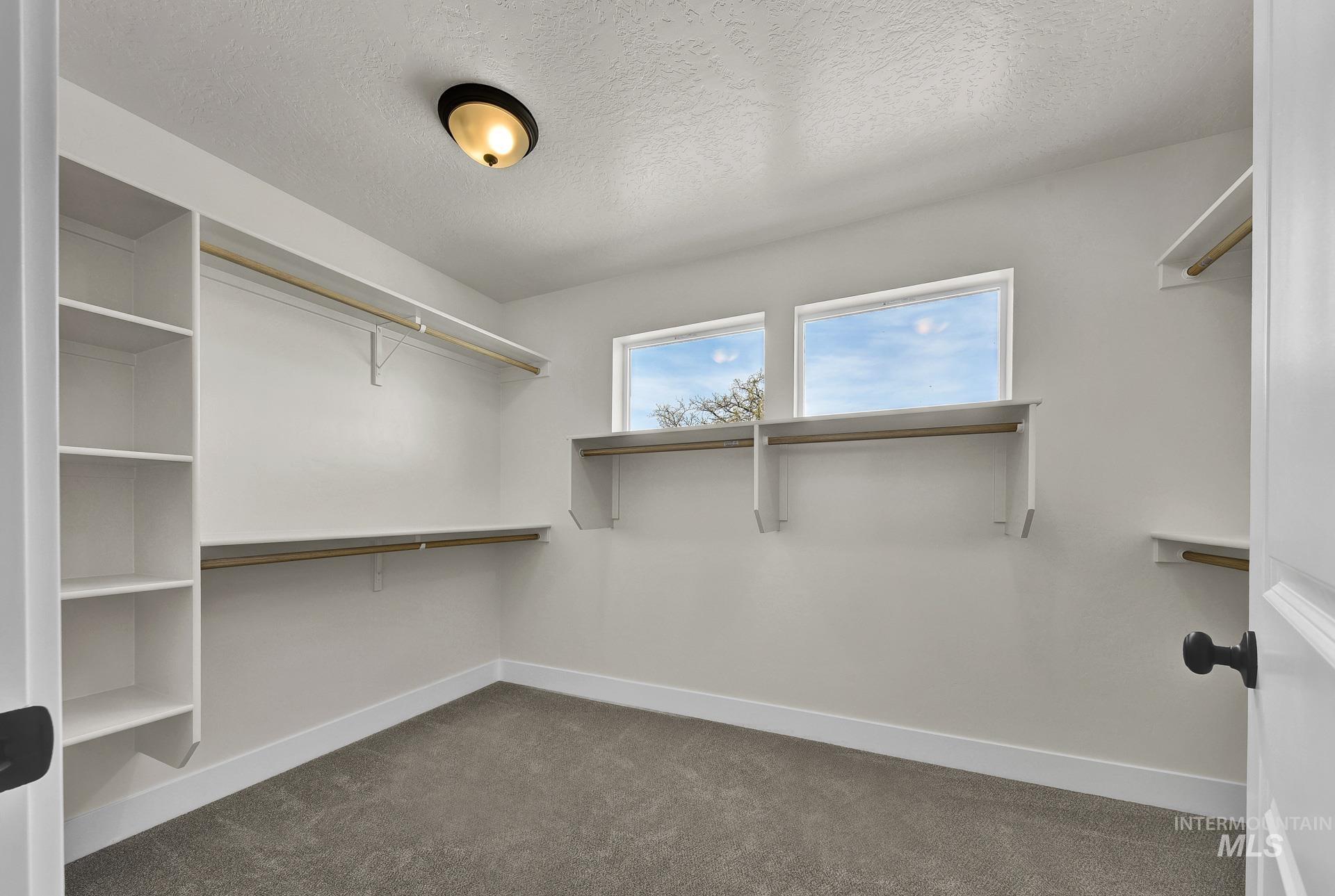 2903 Dale Lane Property Photo 19