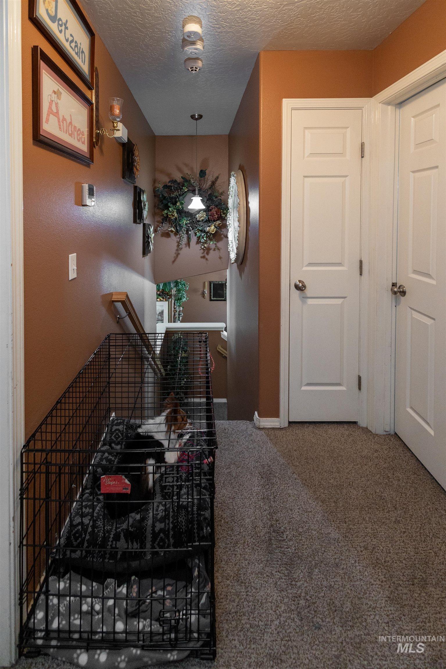 2702 Stoll Ct Property Photo 23