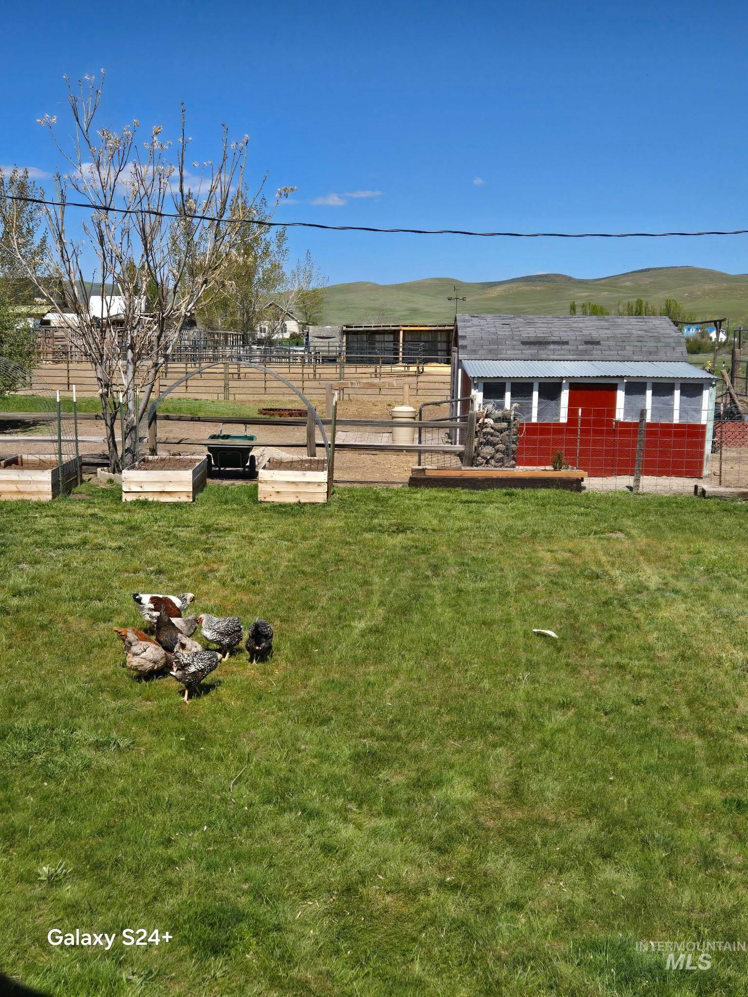 1280 Monroe Creek Road Property Photo 19