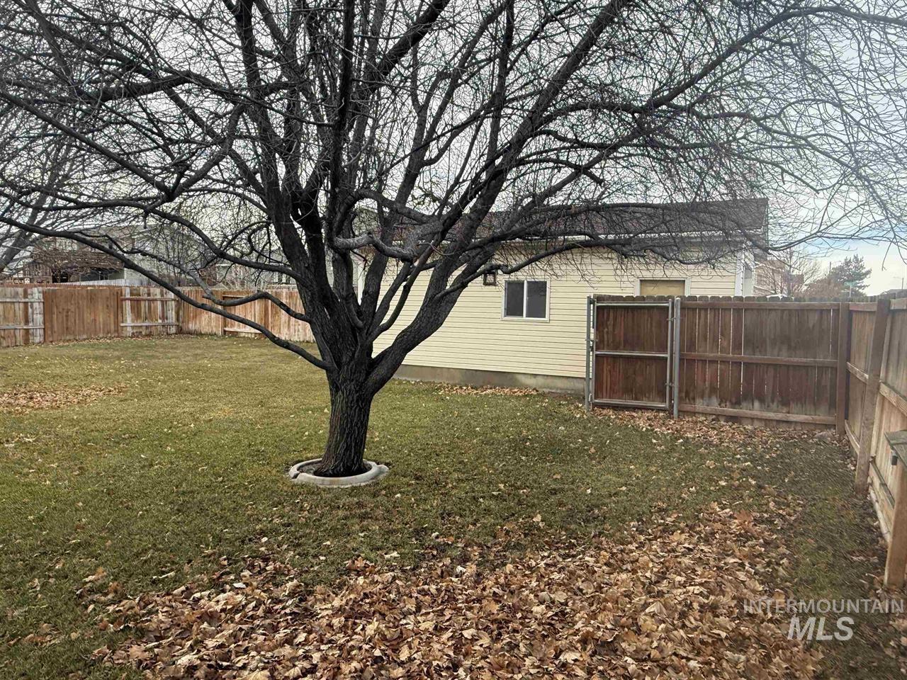 5967 Noah St. Property Photo 4