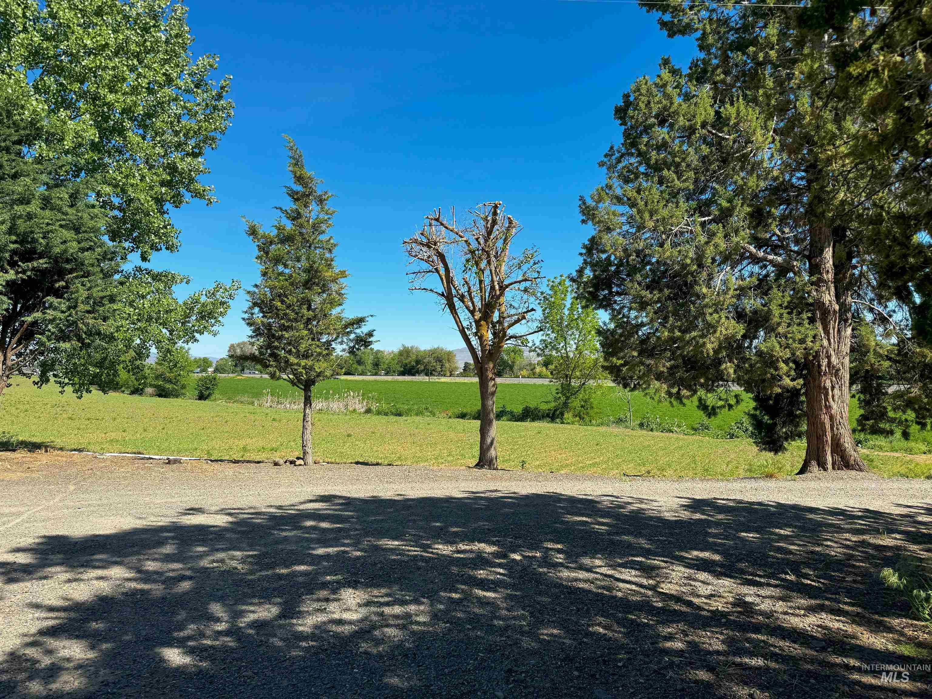 1199 County Rd 70 Property Photo 15