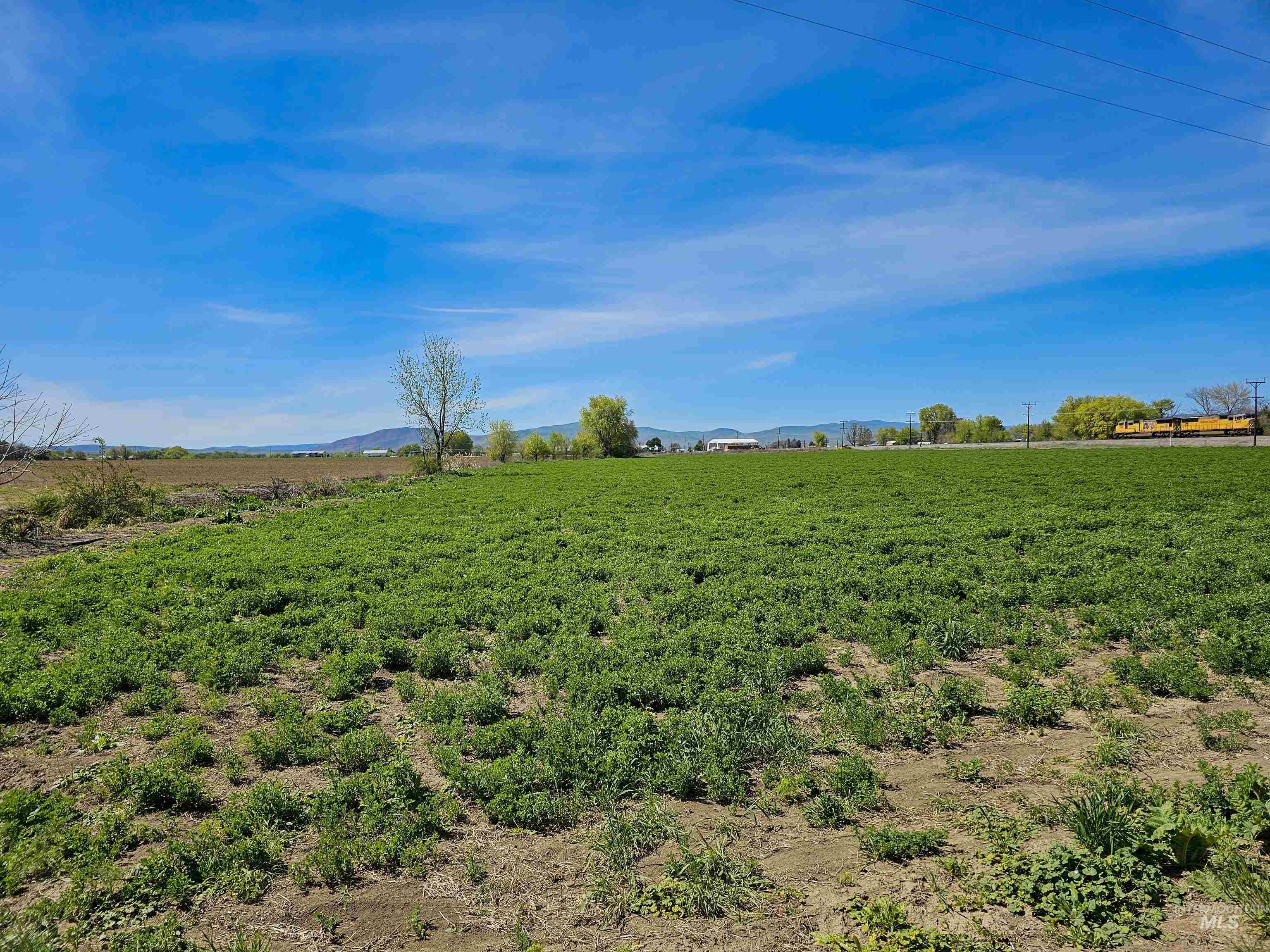 1199 County Rd 70 Property Photo 23