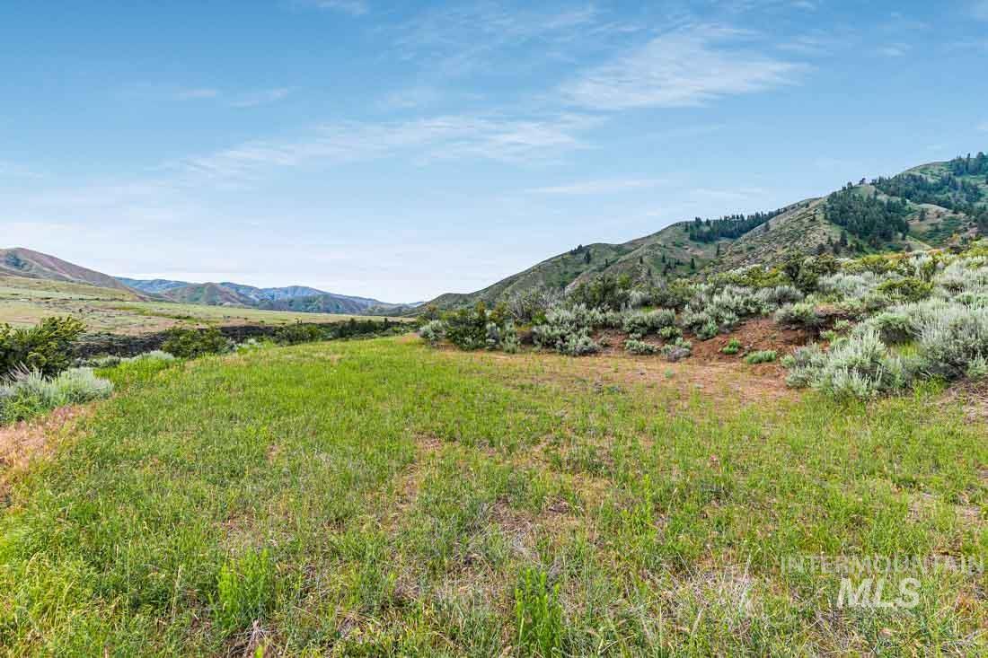 63 Robie Springs Rd Property Photo 13