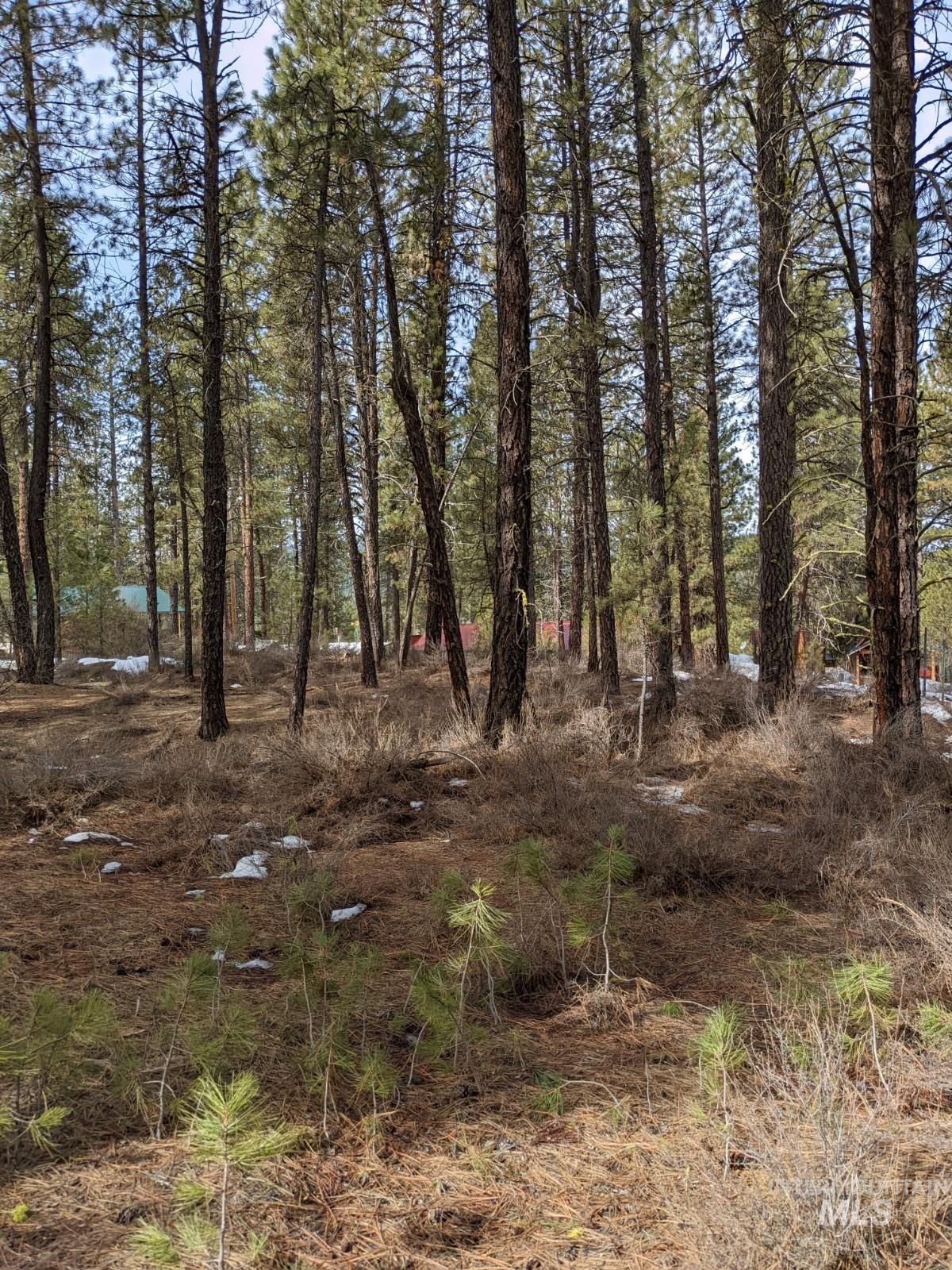 Tbd View Drive Property Photo 1