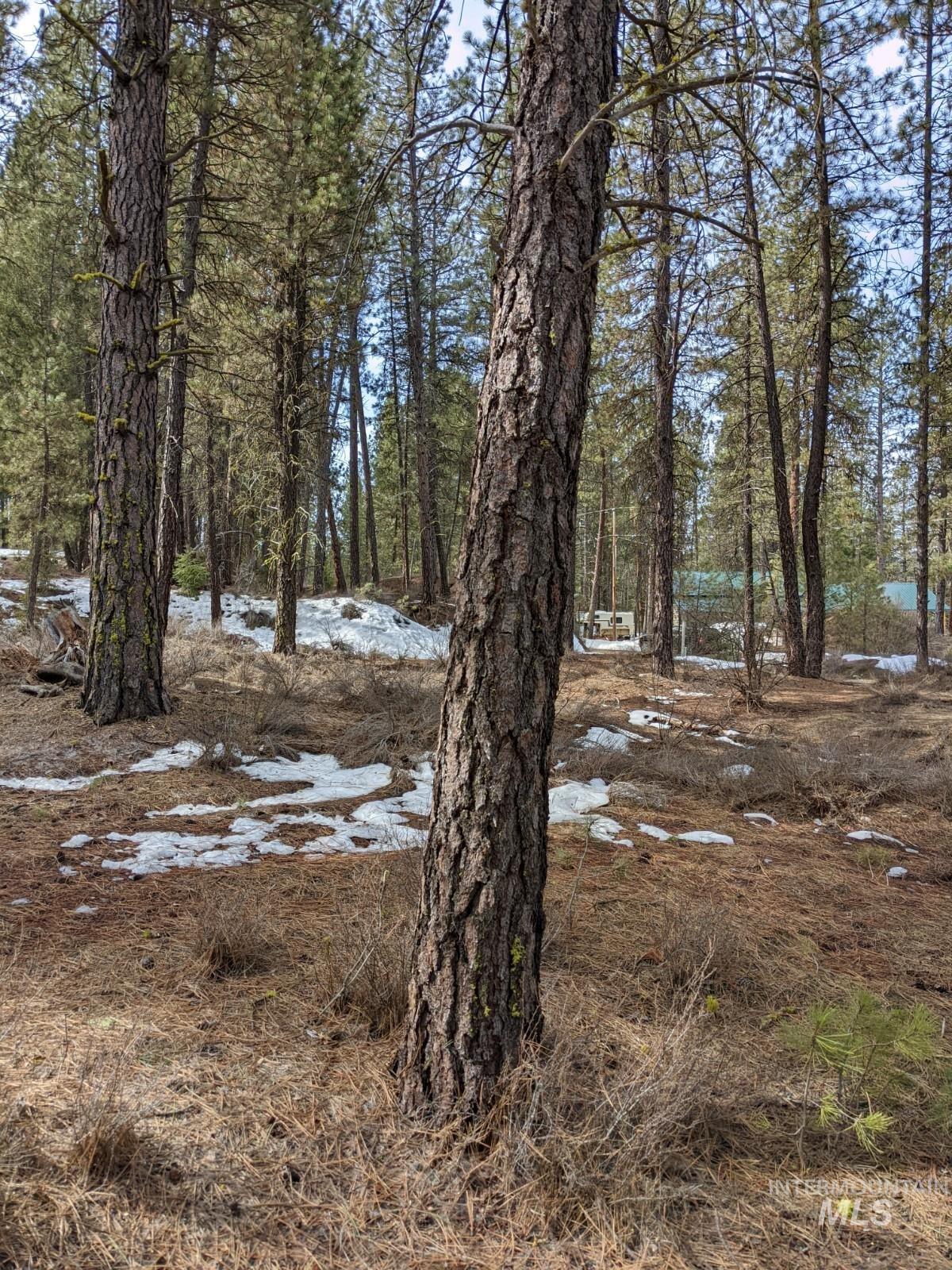 Tbd View Drive Property Photo 2
