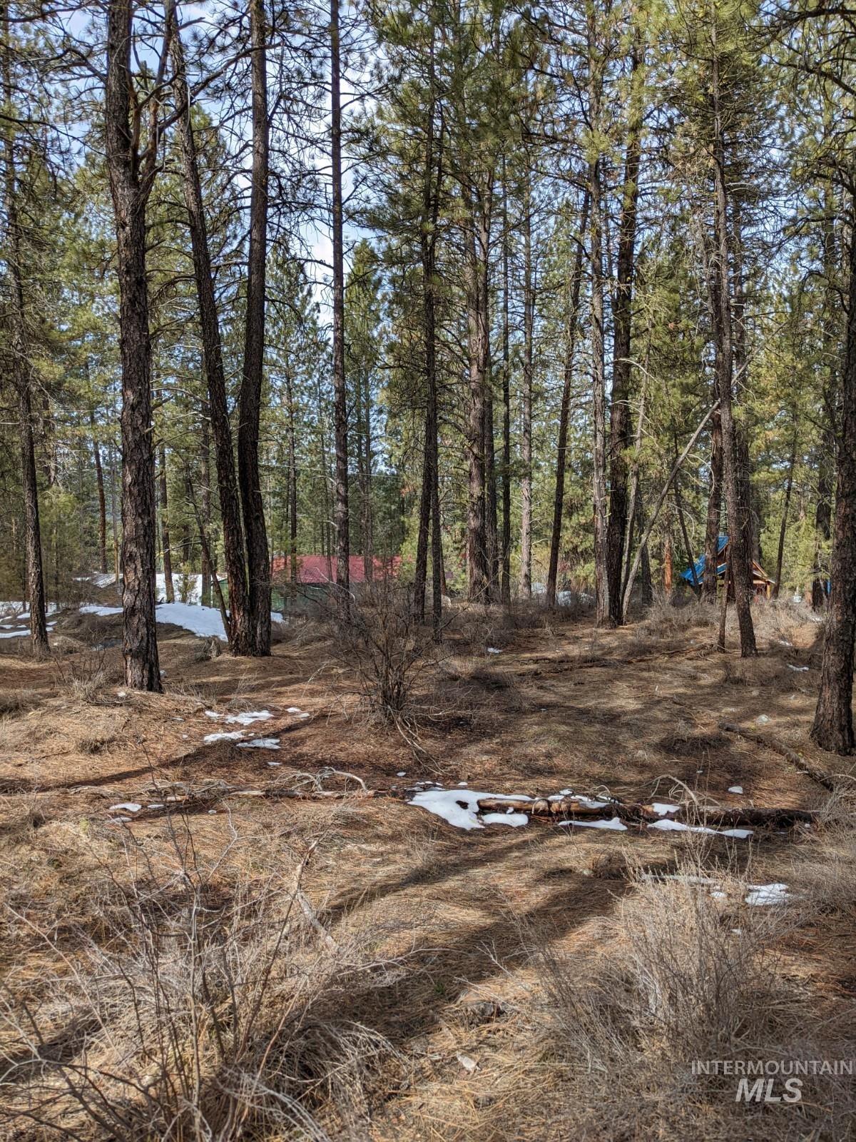 Tbd View Drive Property Photo 3