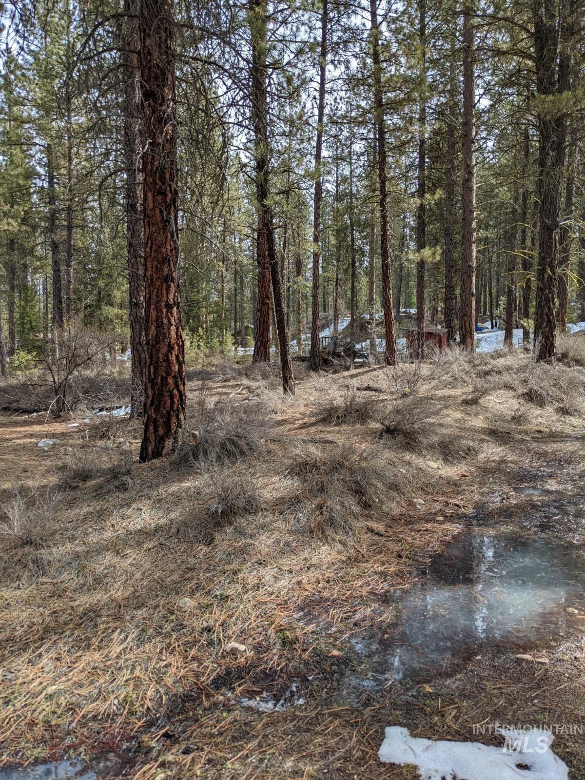 Tbd View Drive Property Photo 7