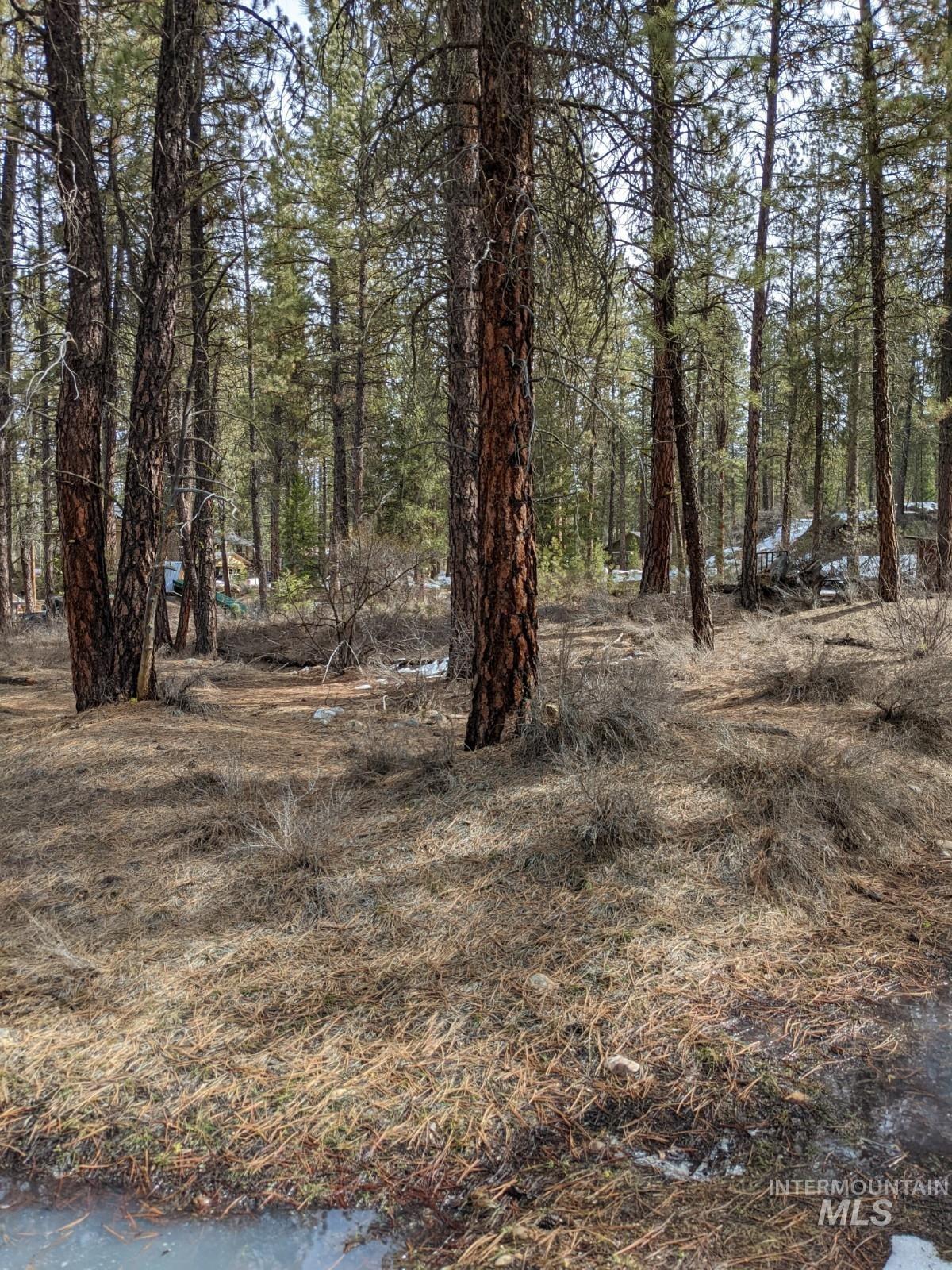 Tbd View Drive Property Photo 8