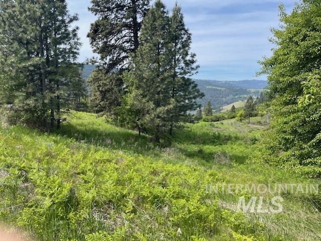 Tbd Sunnyside Bench Rd. Property Photo