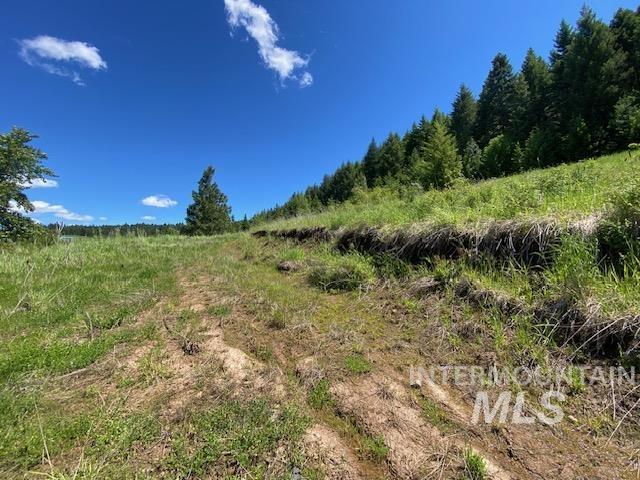 Lot 25 Shenandoah Property Photo 5