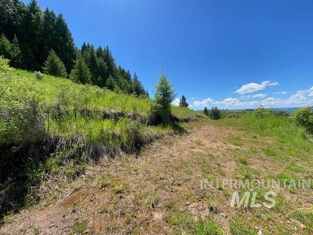 Lot 25 Shenandoah Property Photo 6