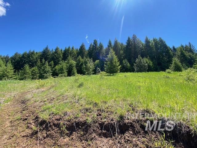 Lot 25 Shenandoah Property Photo 7
