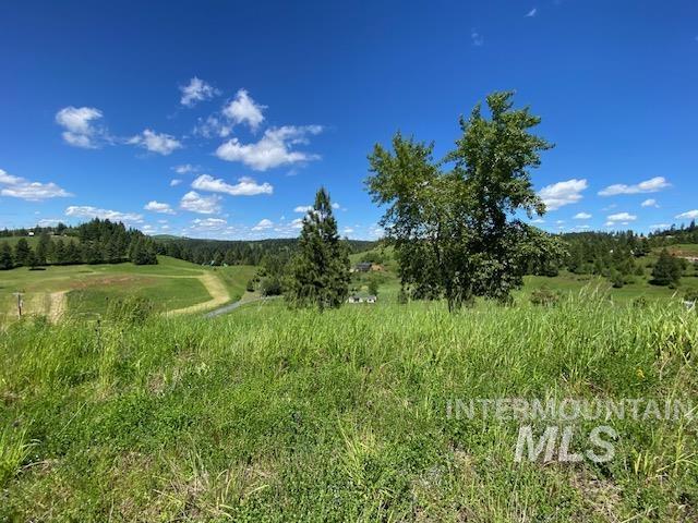 Lot 25 Shenandoah Property Photo 8