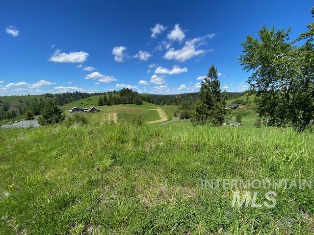 Lot 25 Shenandoah Property Photo 9