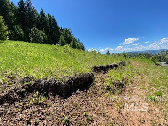 Lot 25 Shenandoah Property Photo 10