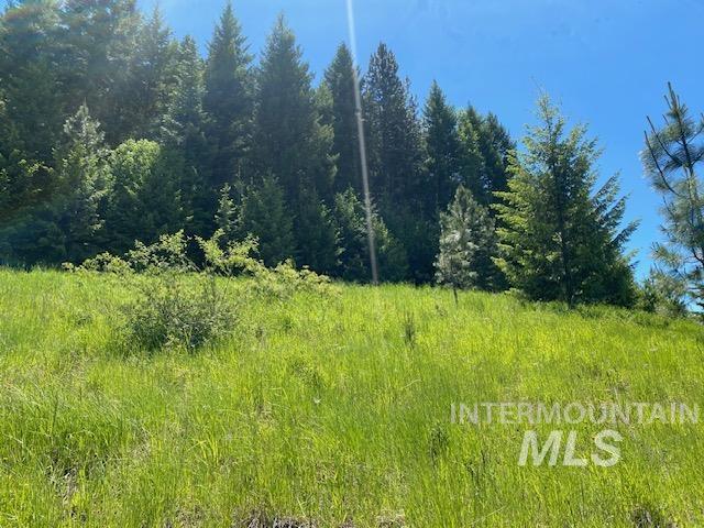 Lot 25 Shenandoah Property Photo 11