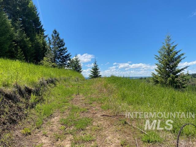 Lot 25 Shenandoah Property Photo 13