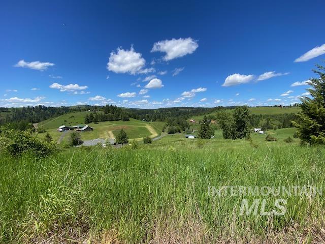 Lot 25 Shenandoah Property Photo 14
