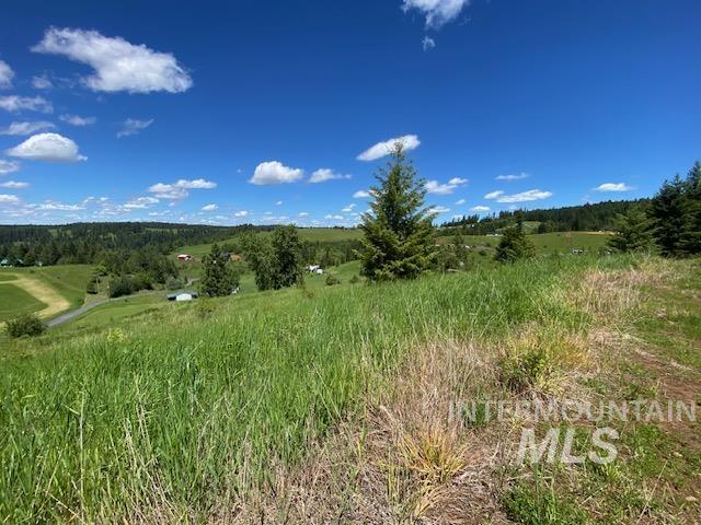 Lot 25 Shenandoah Property Photo 15