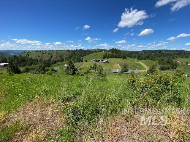 Lot 25 Shenandoah Property Photo 16
