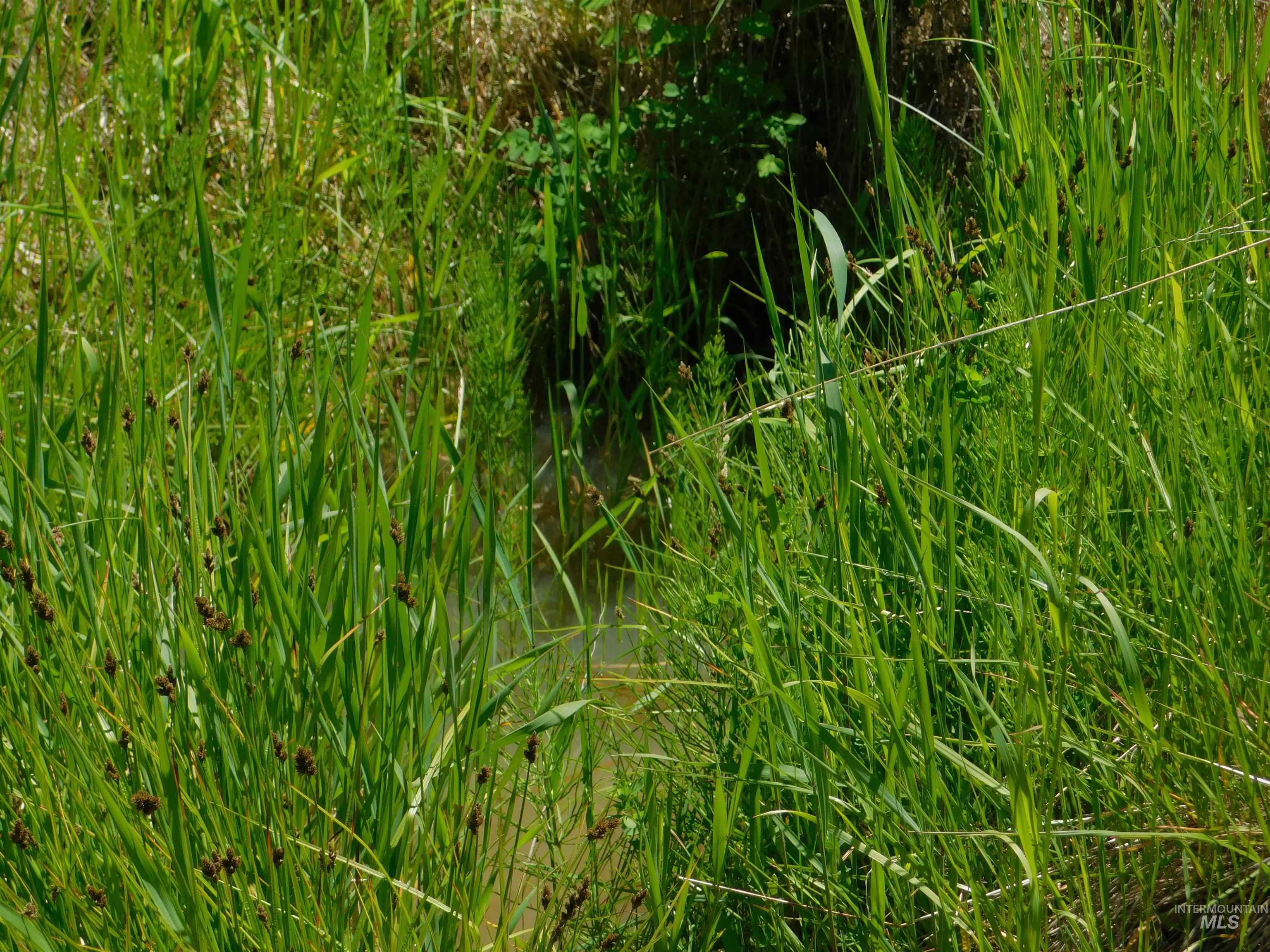 Lot 25 Shenandoah Property Photo 18