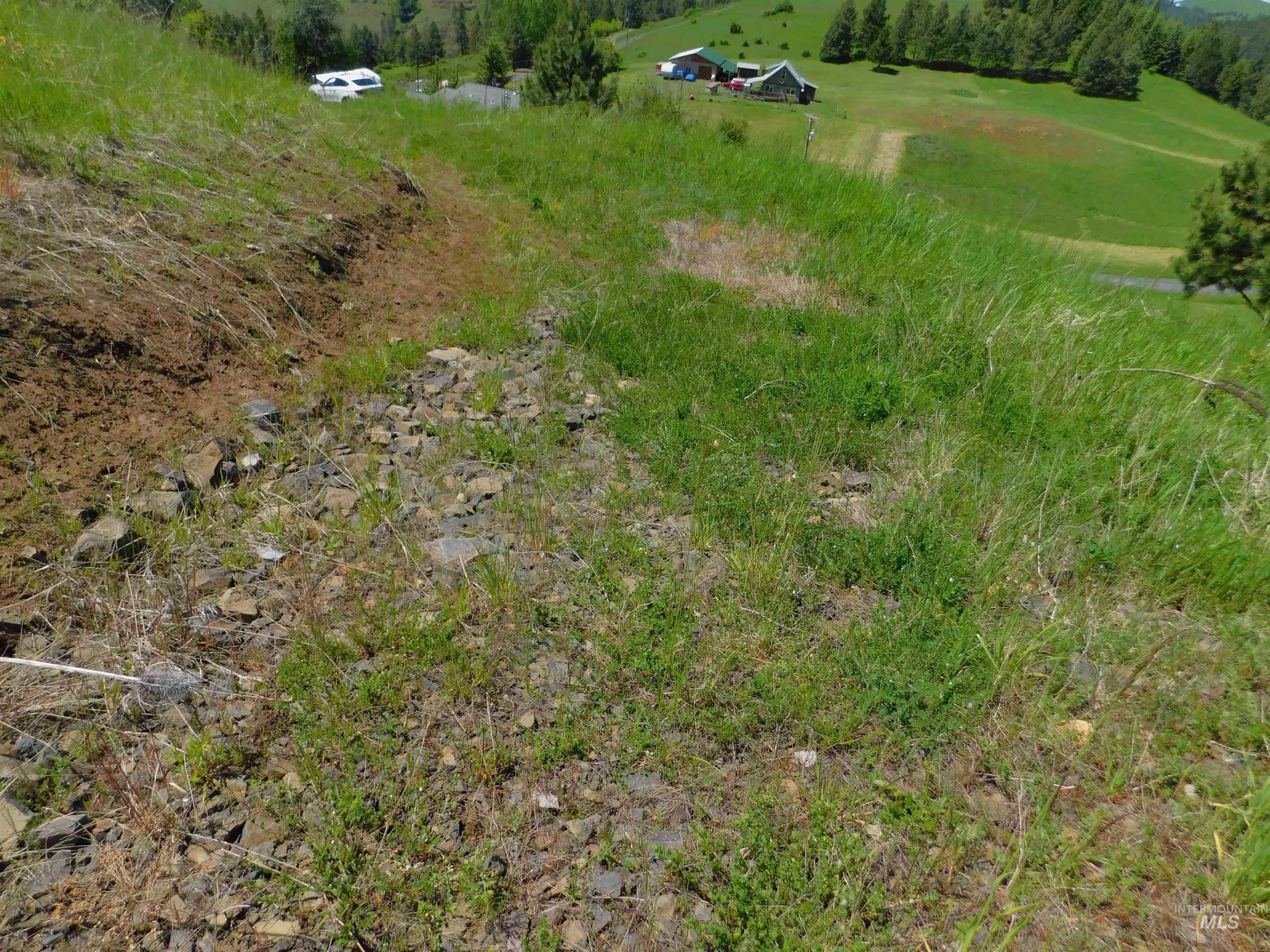Lot 25 Shenandoah Property Photo 19