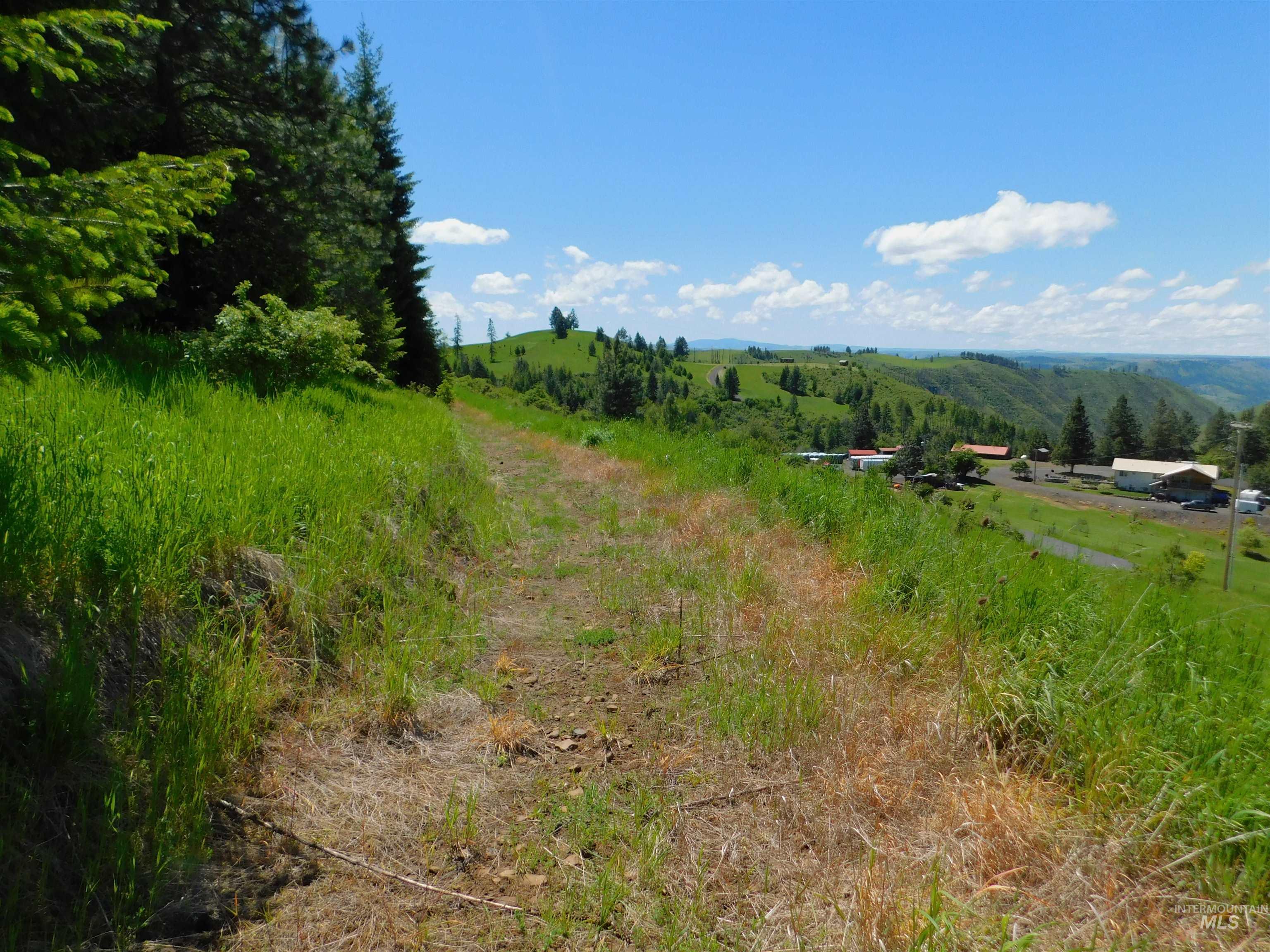 Lot 25 Shenandoah Property Photo 20