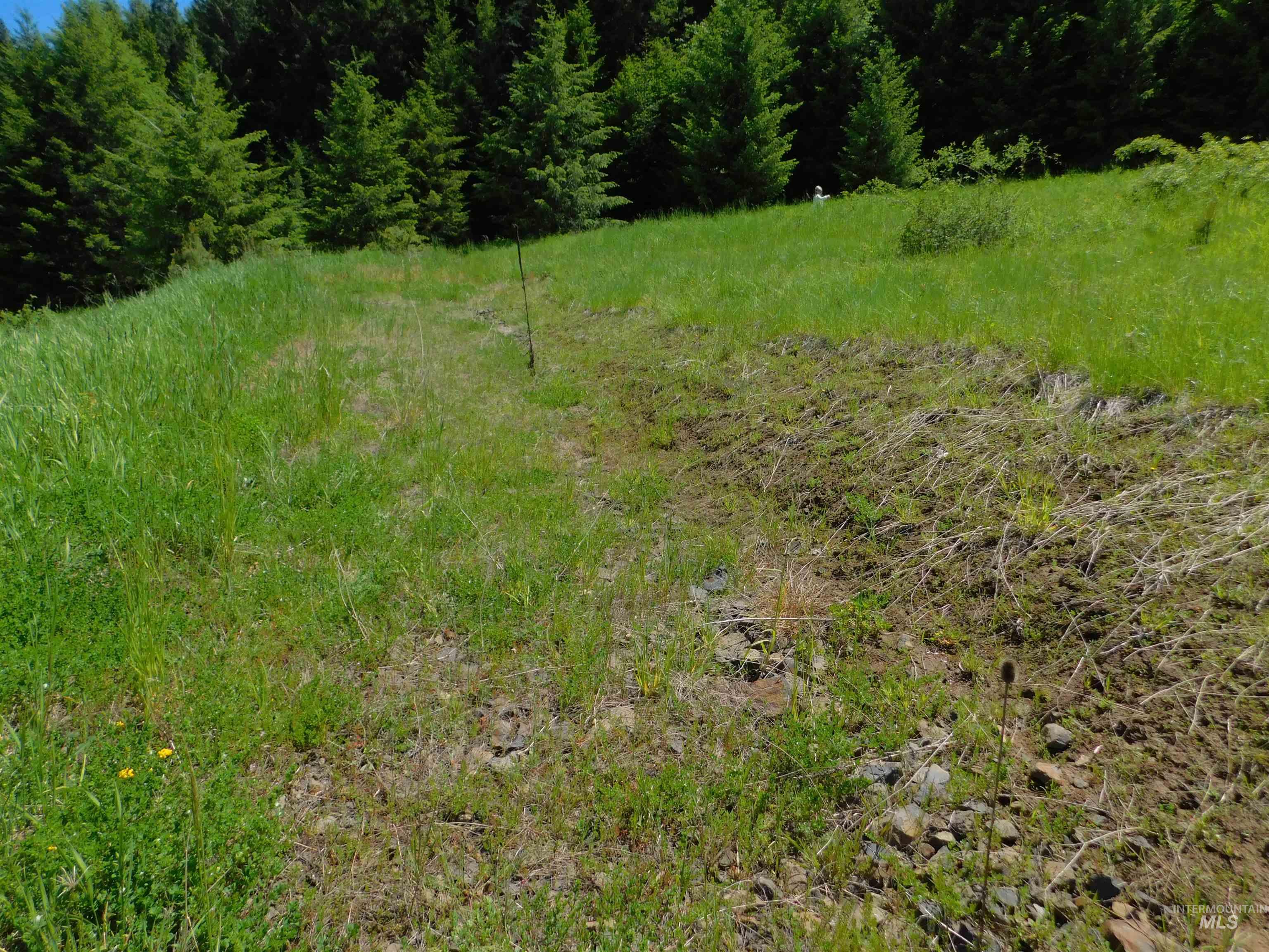 Lot 25 Shenandoah Property Photo 23