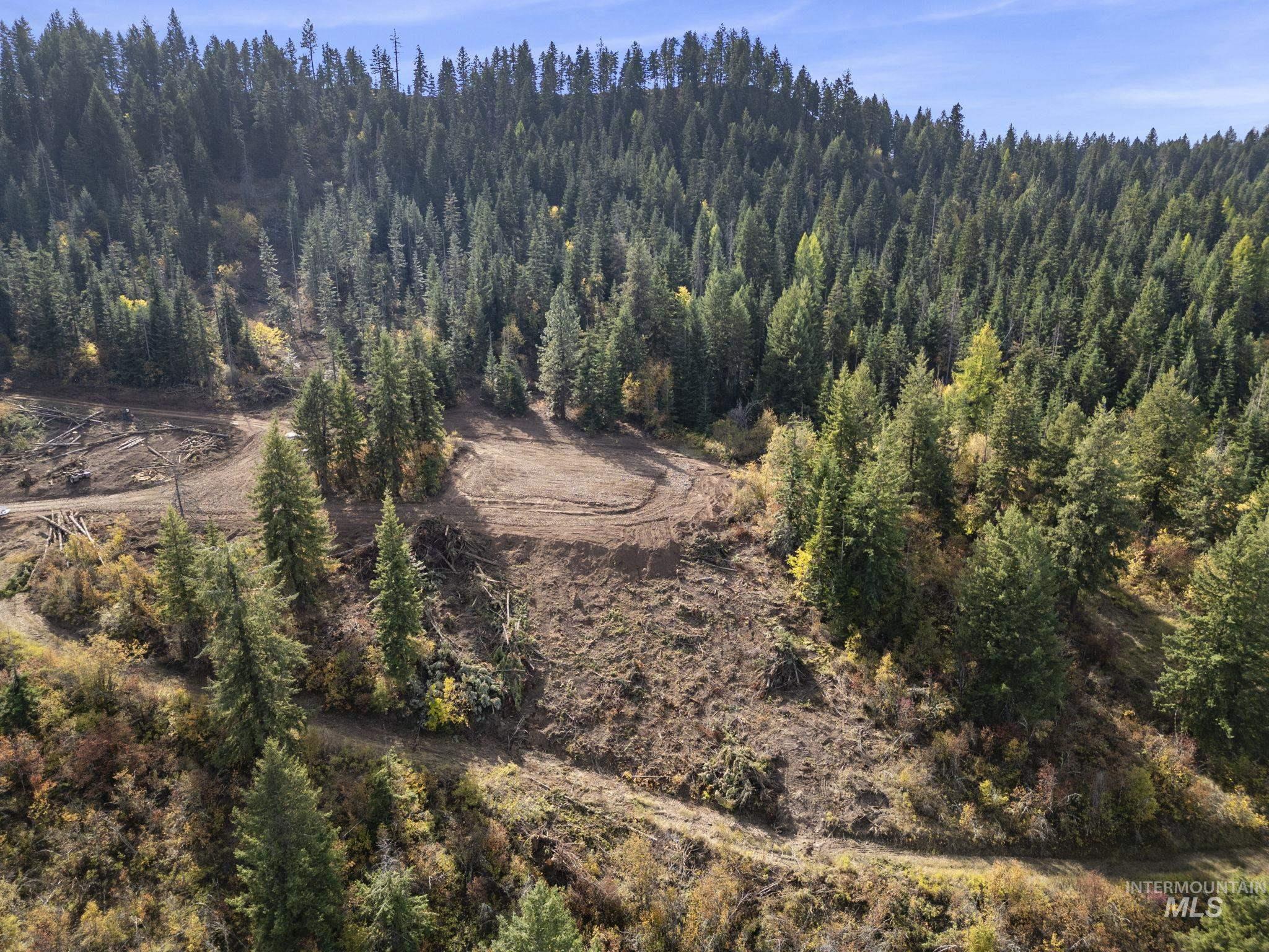Tbd Mountain Top Drive Property Photo 6