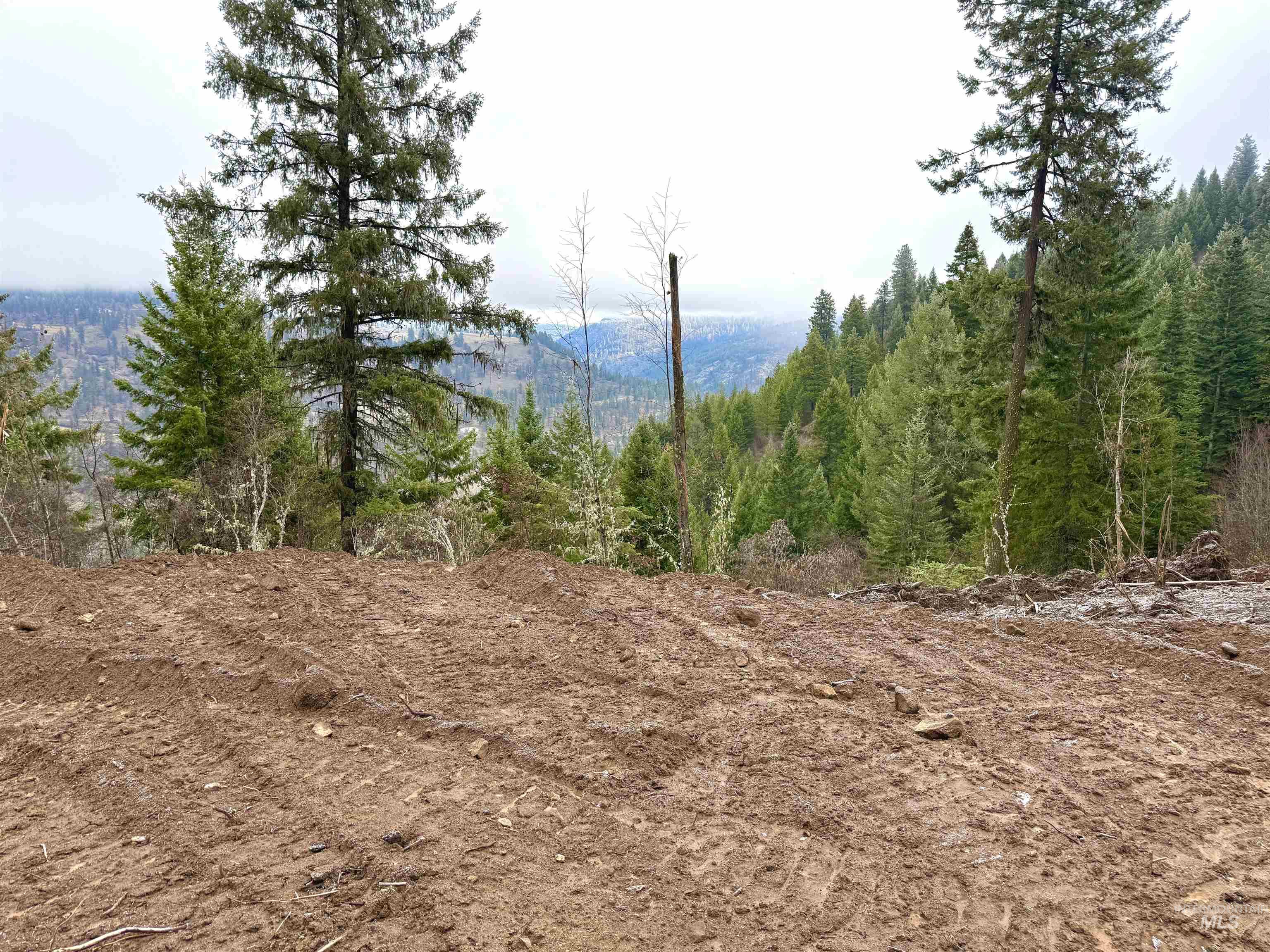 Tbd Mountain Top Drive Property Photo 19
