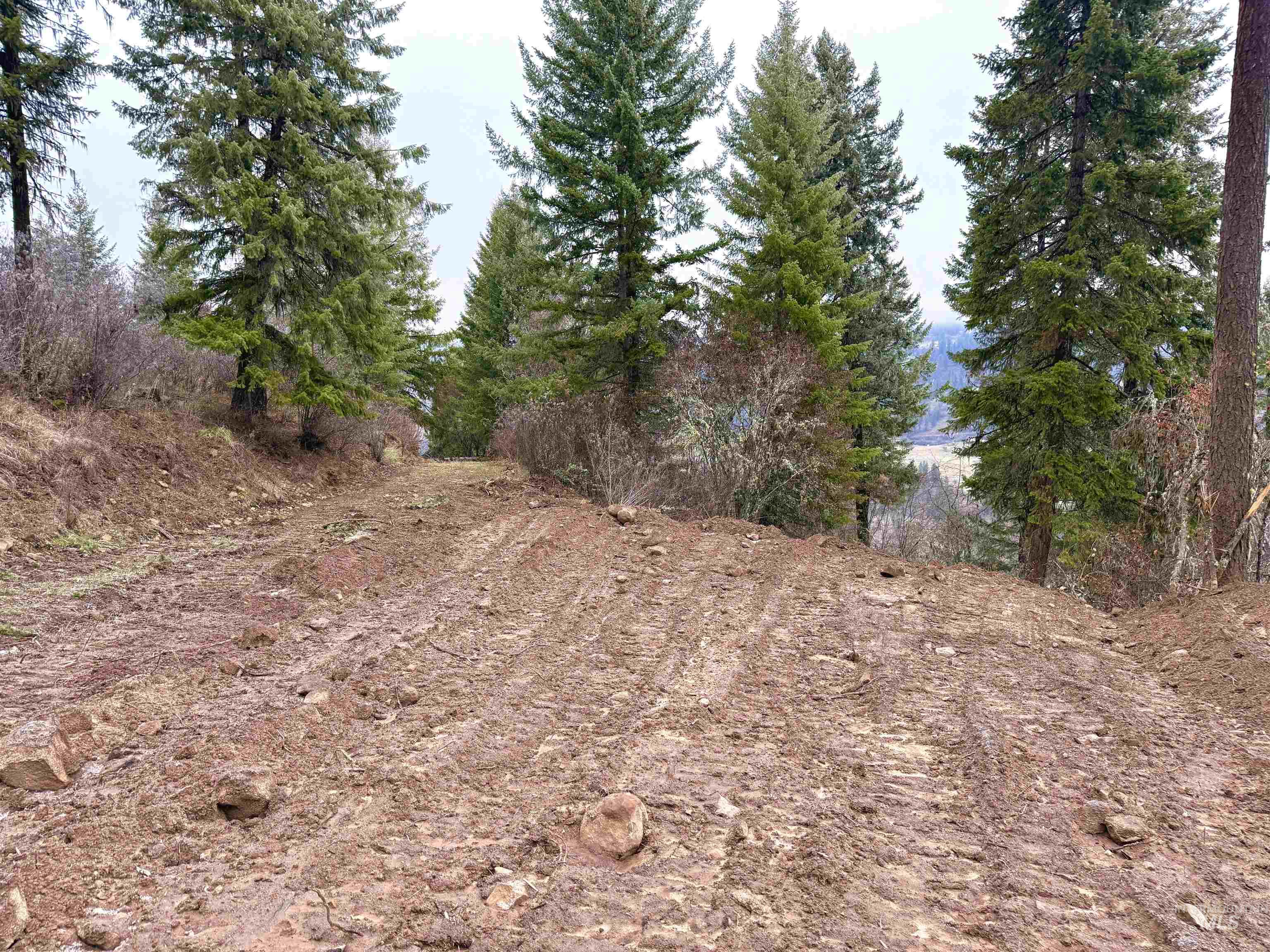 Tbd Mountain Top Drive Property Photo 20