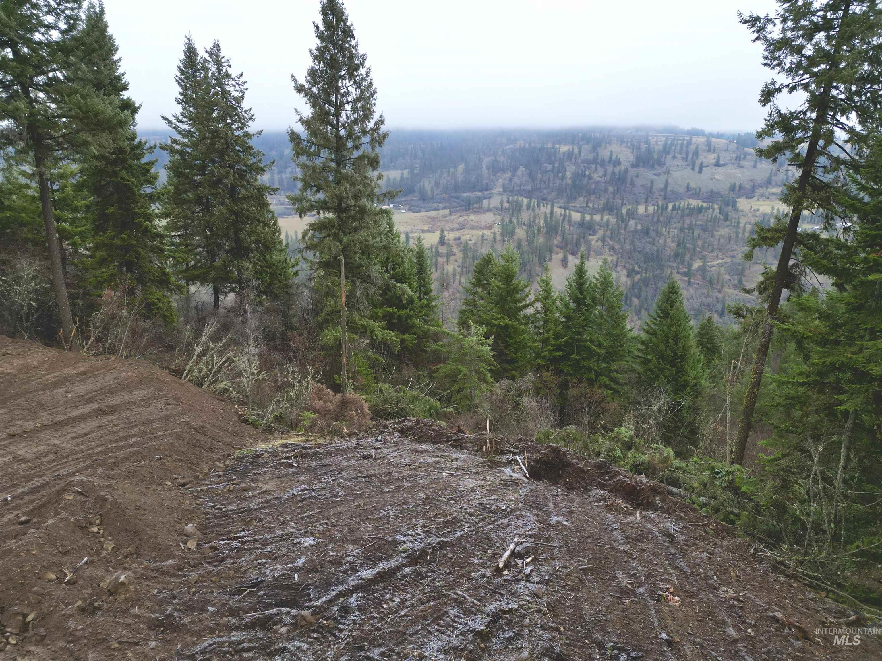 Tbd Mountain Top Drive Property Photo 22