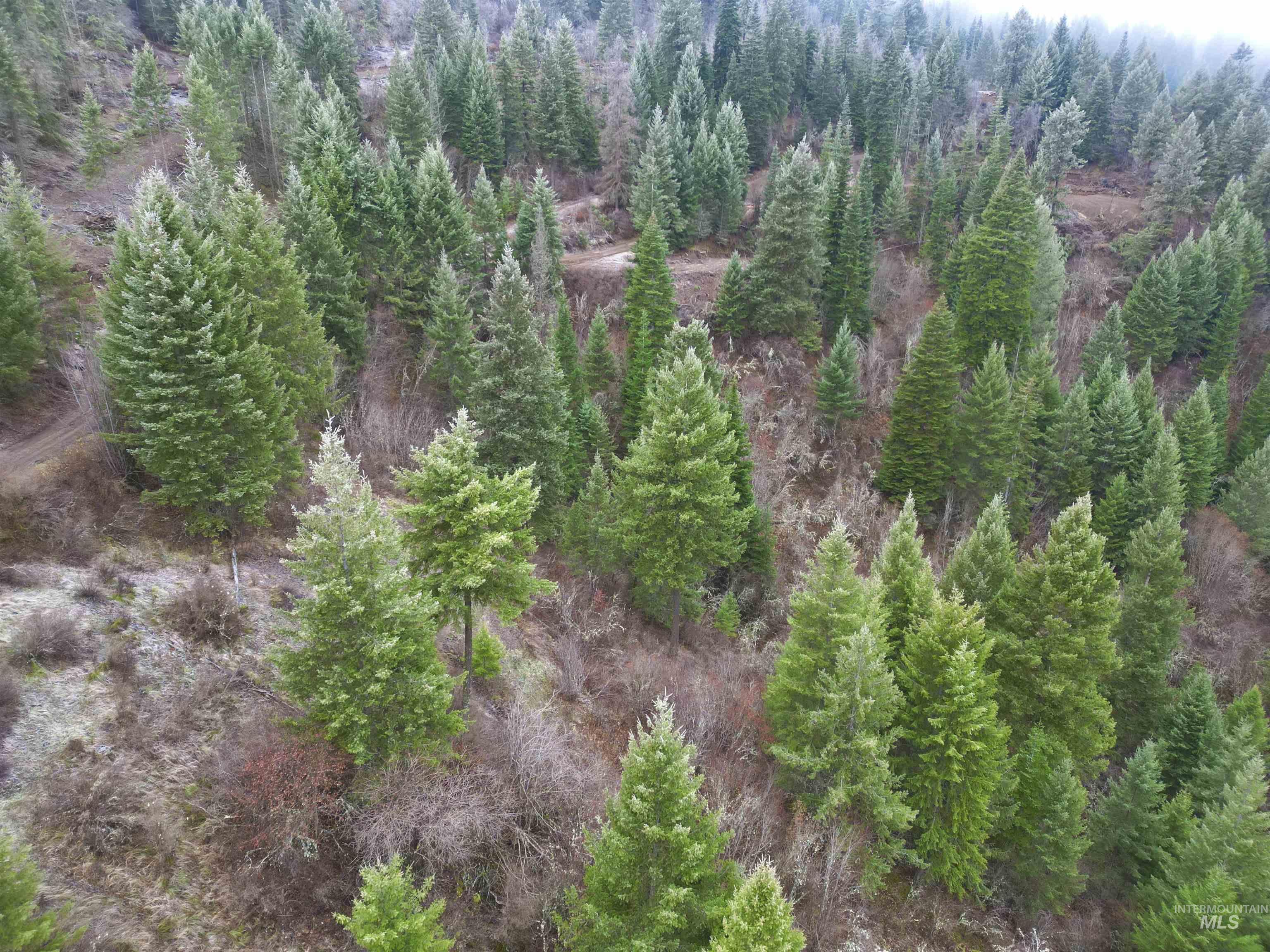 Tbd Mountain Top Drive Property Photo 24
