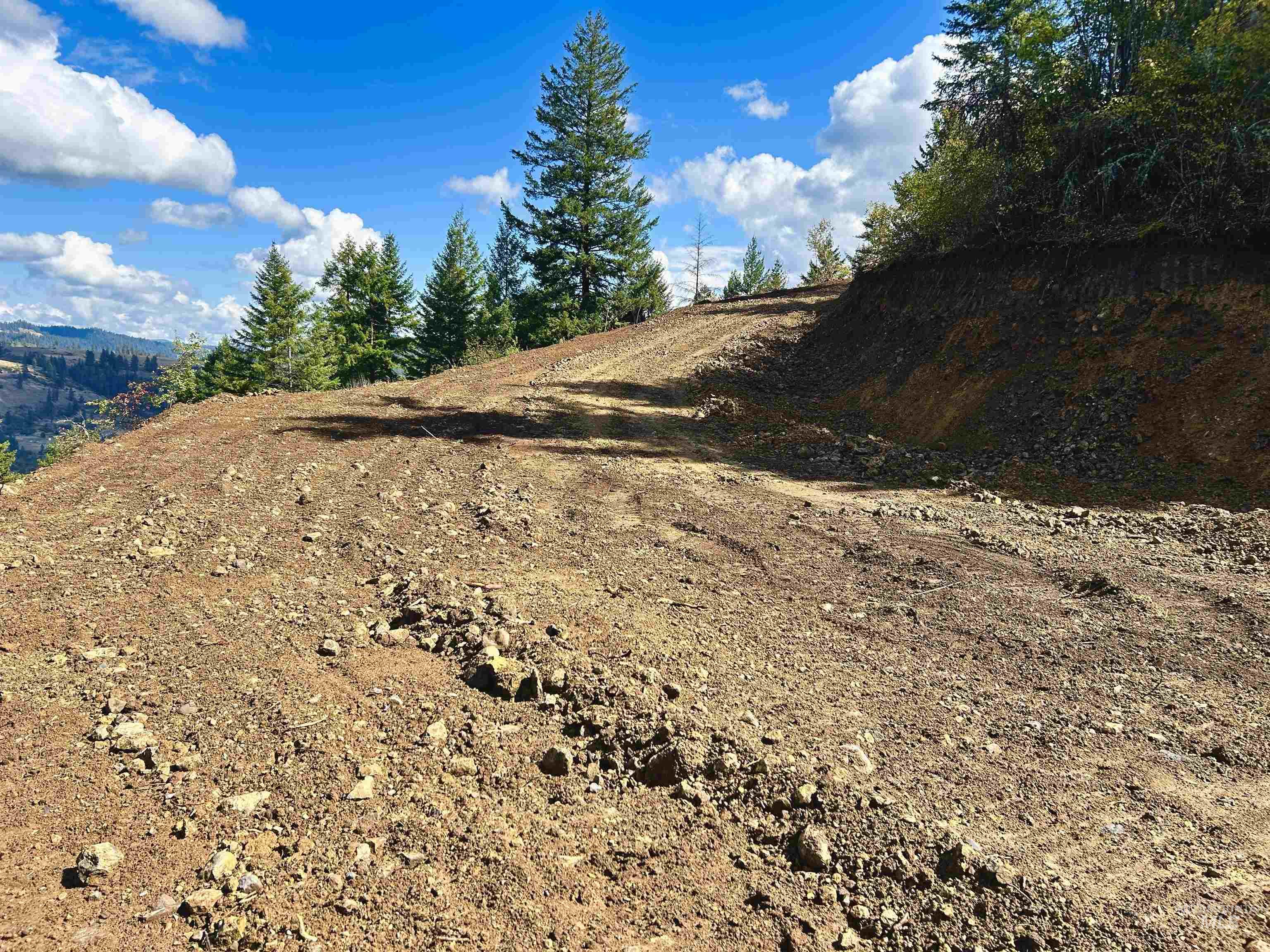 Tbd Mountain Top Drive Property Photo 26