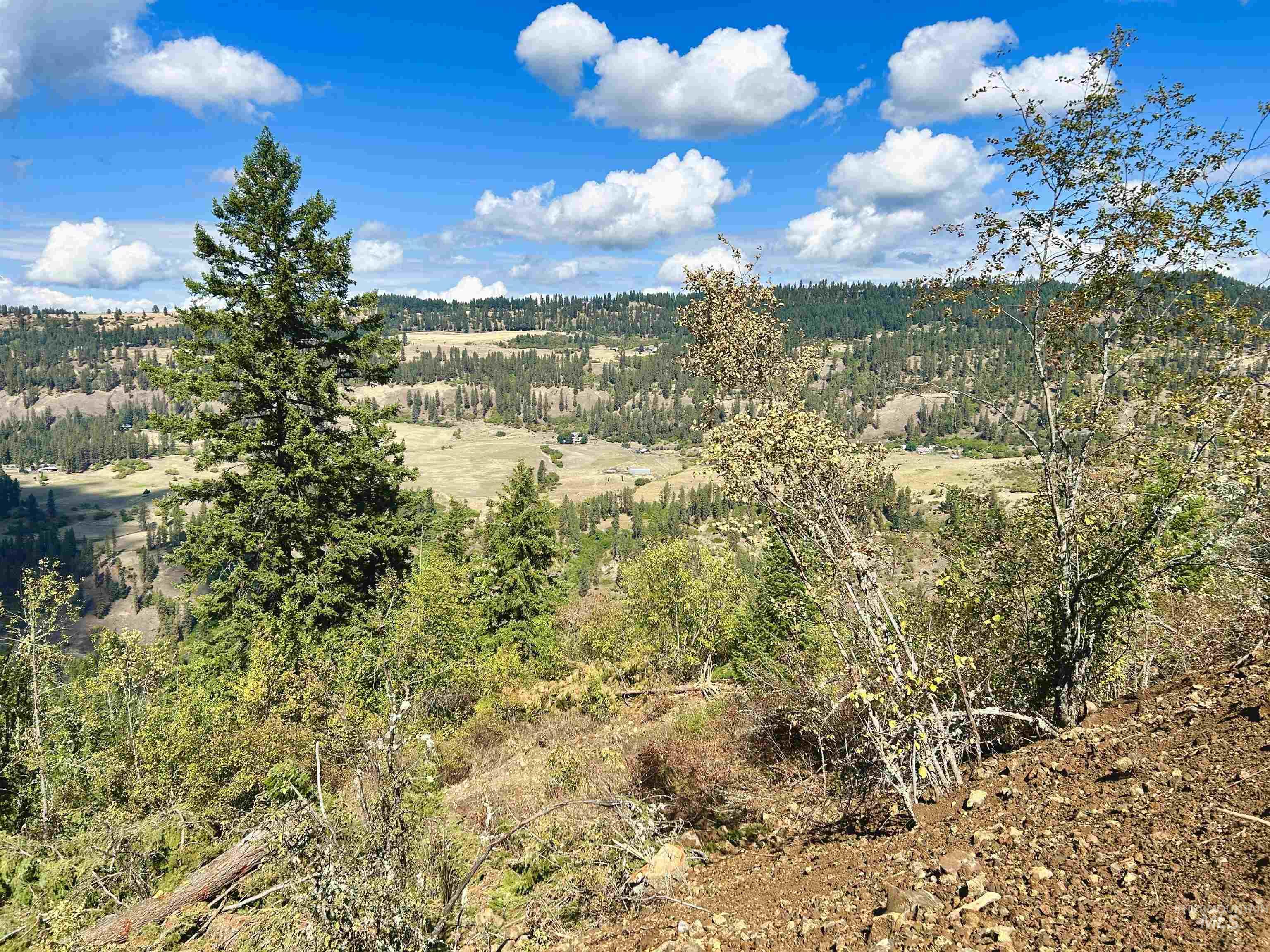 Tbd Mountain Top Drive Property Photo 28