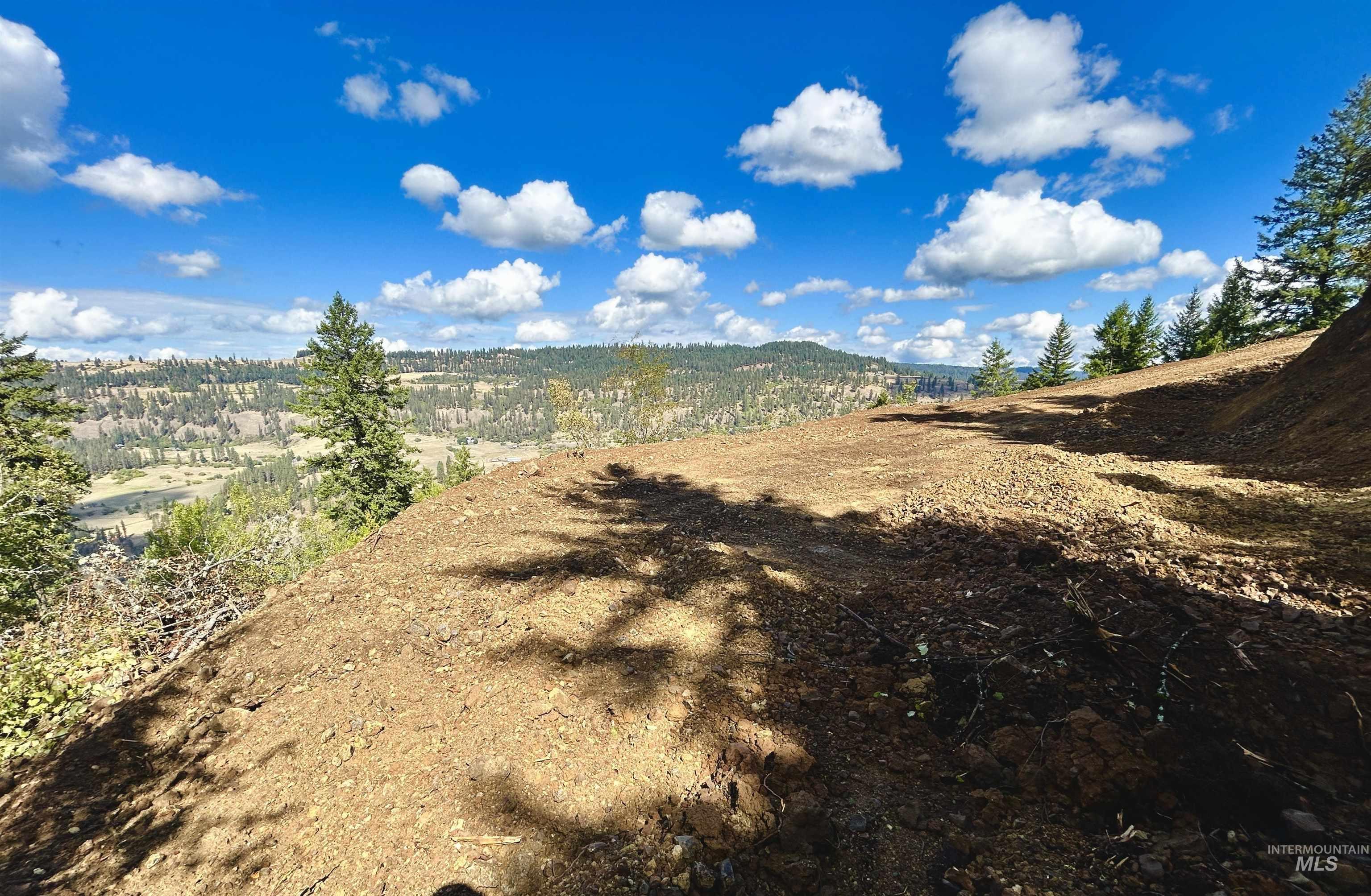 Tbd Mountain Top Drive Property Photo 29
