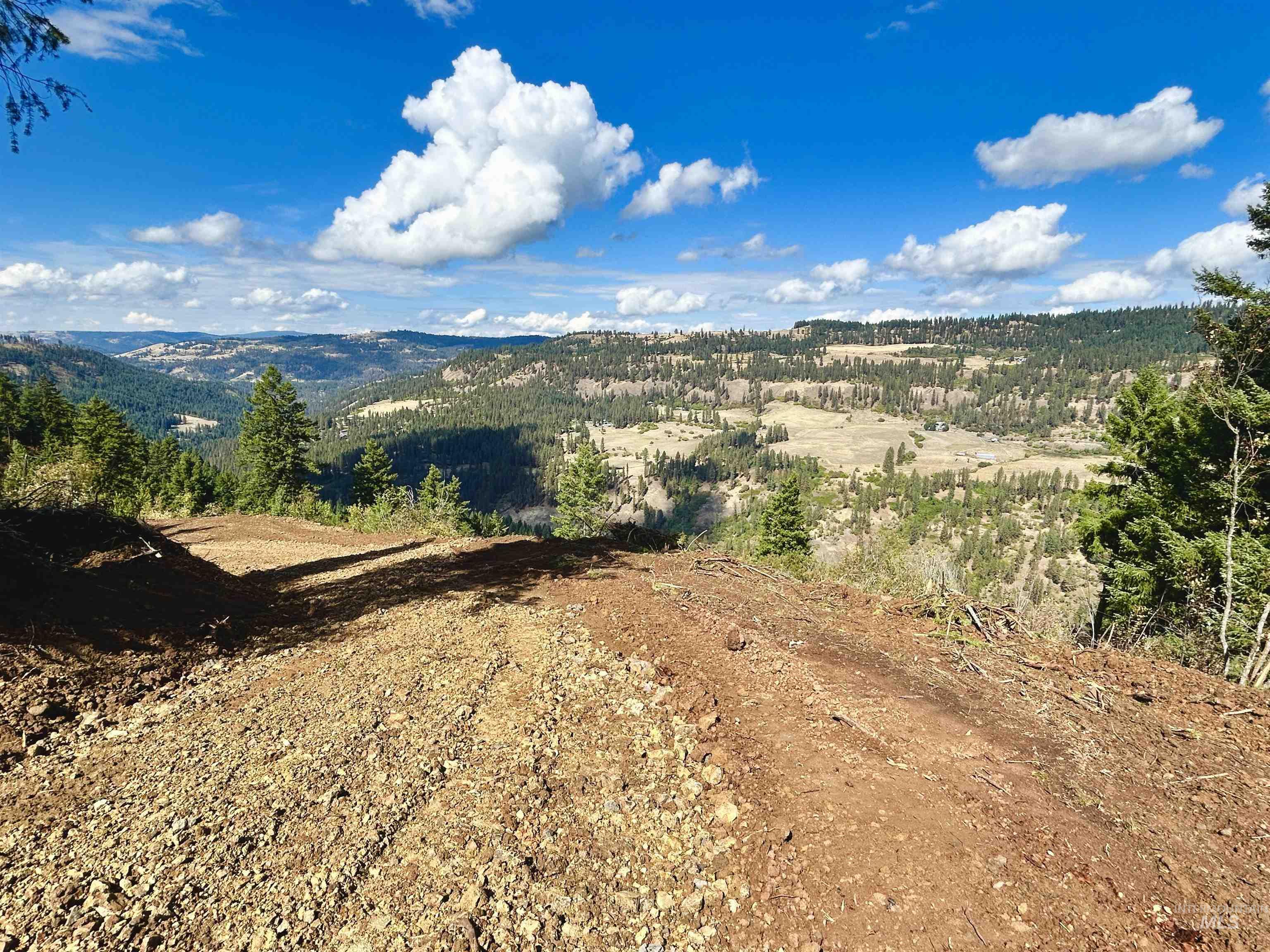 Tbd Mountain Top Drive Property Photo 31