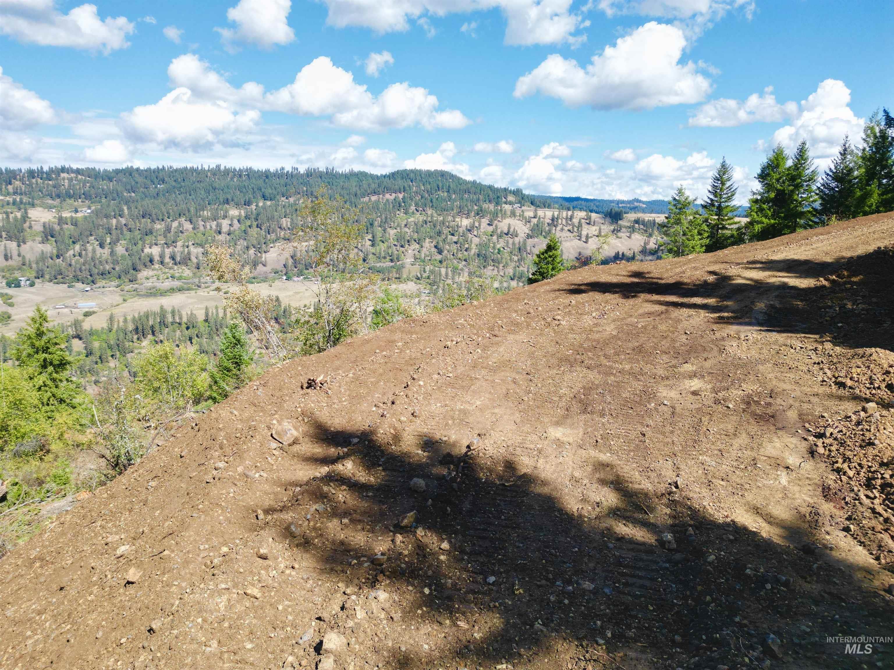 Tbd Mountain Top Drive Property Photo 32
