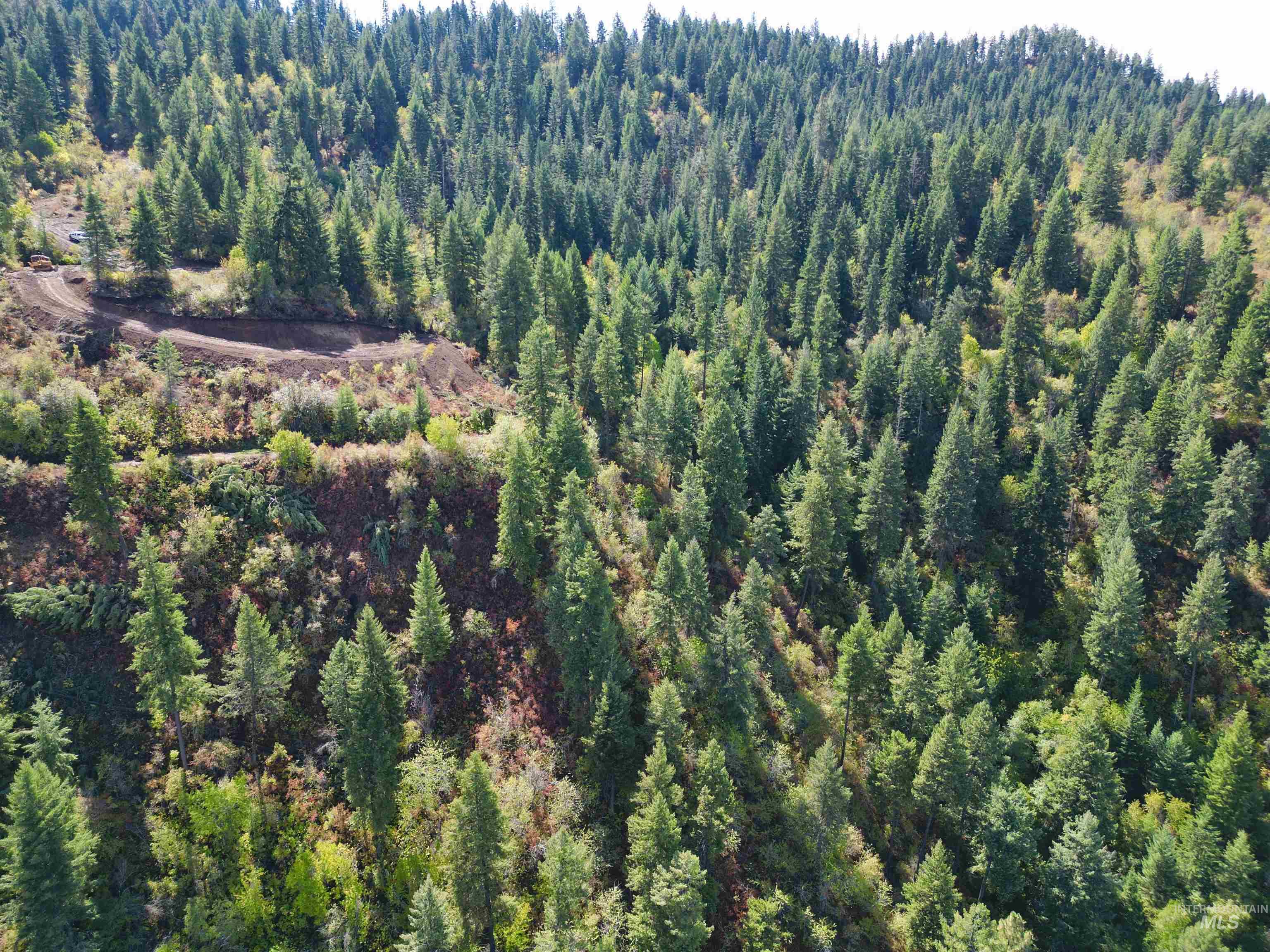 Tbd Mountain Top Drive Property Photo 34