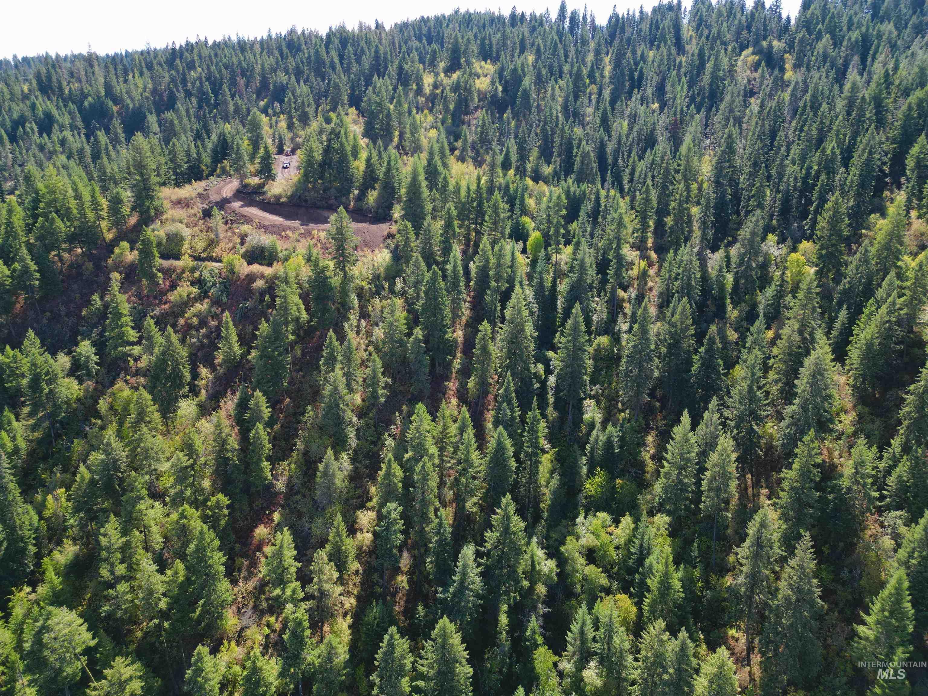 Tbd Mountain Top Drive Property Photo 35
