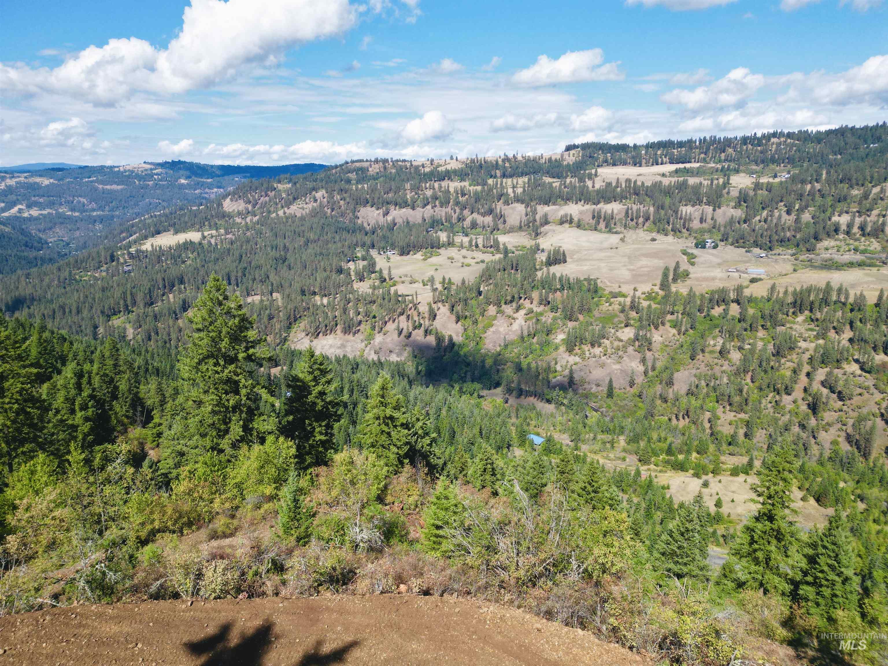 Tbd Mountain Top Drive Property Photo 37