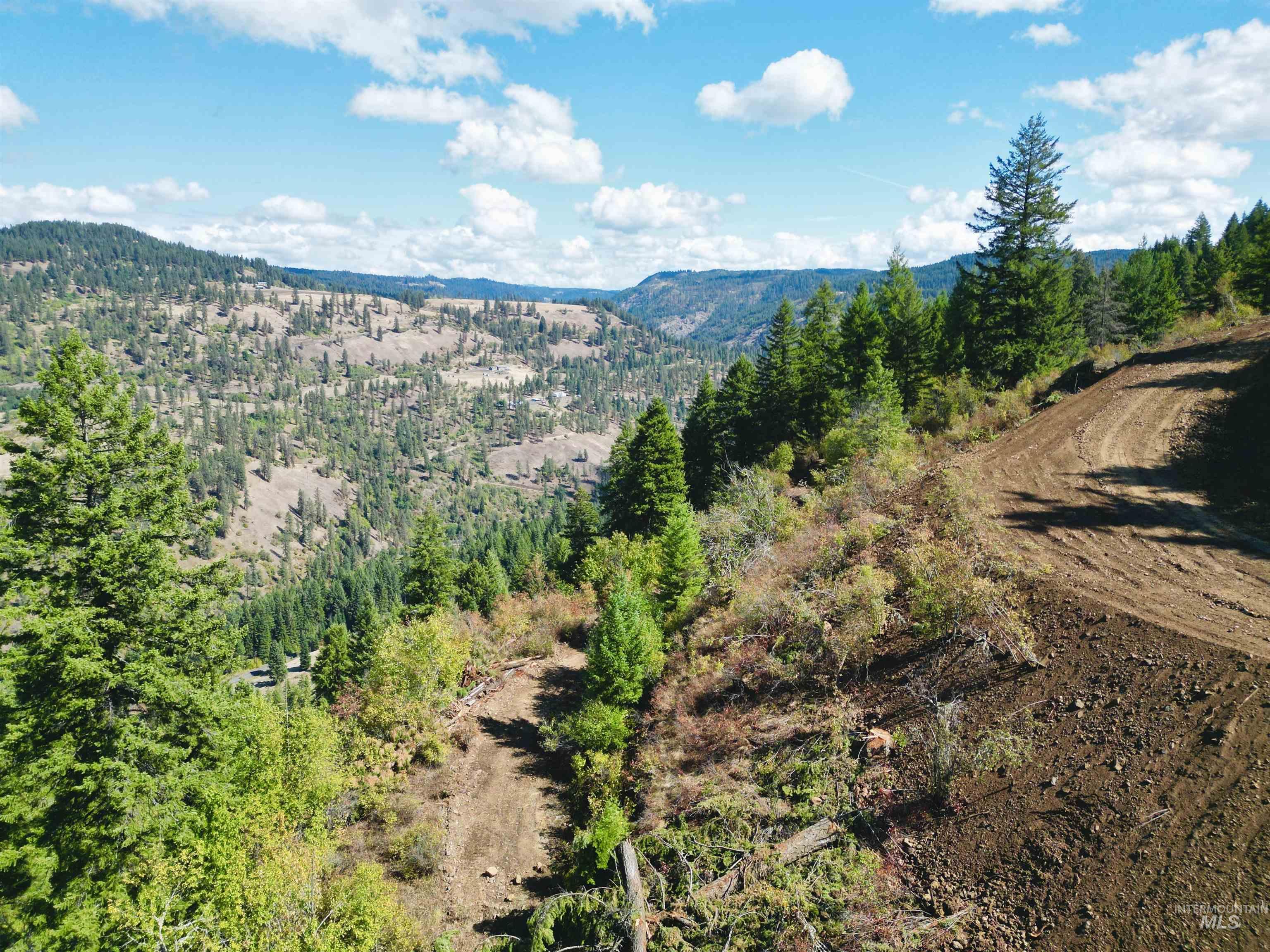 Tbd Mountain Top Drive Property Photo 38