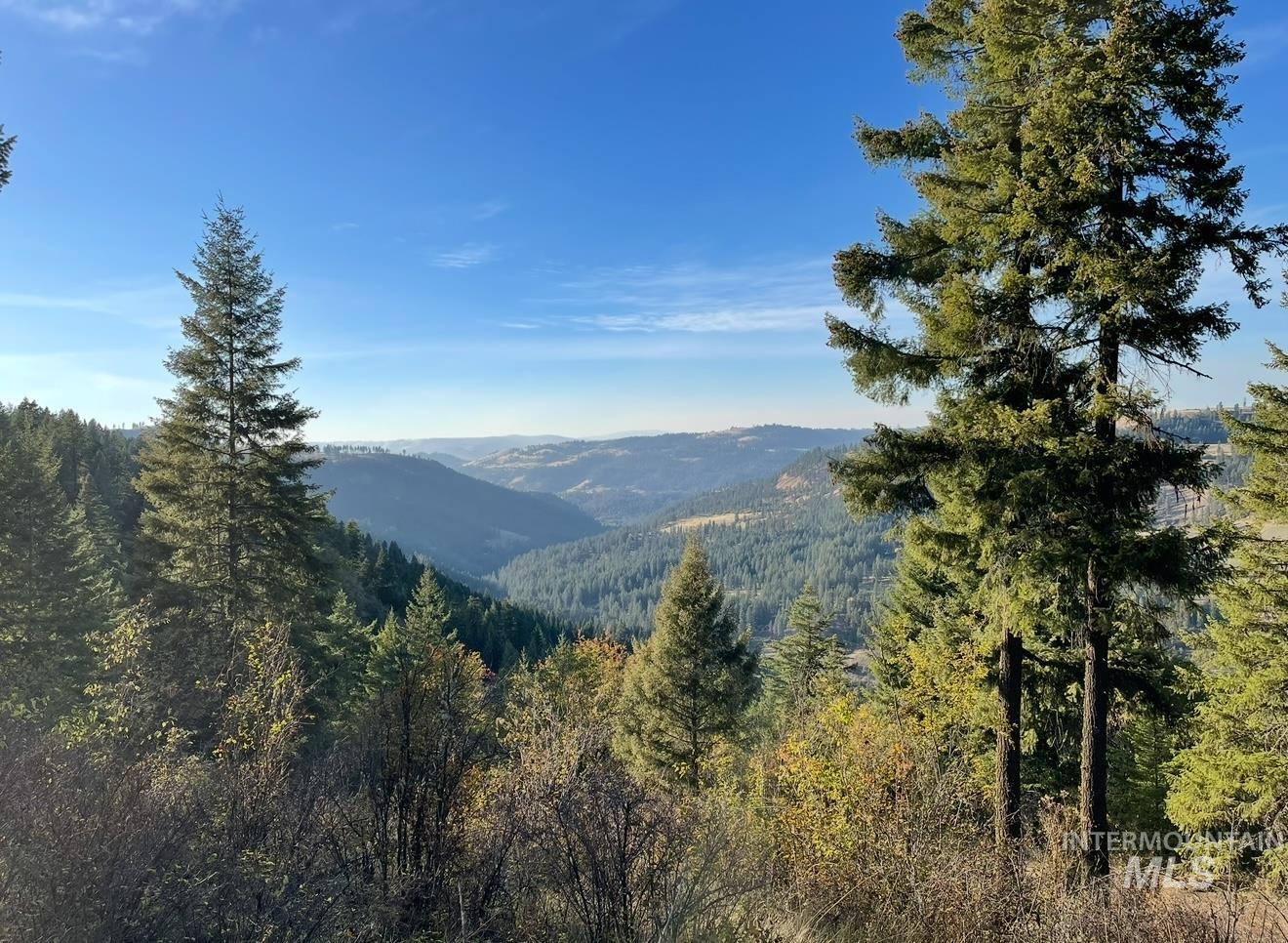 Tbd Mountain Top Drive Property Photo 41