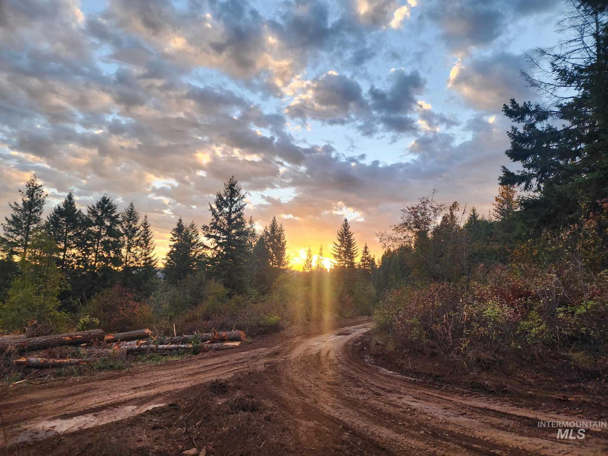 Tbd Mountain Top Drive Property Photo 43